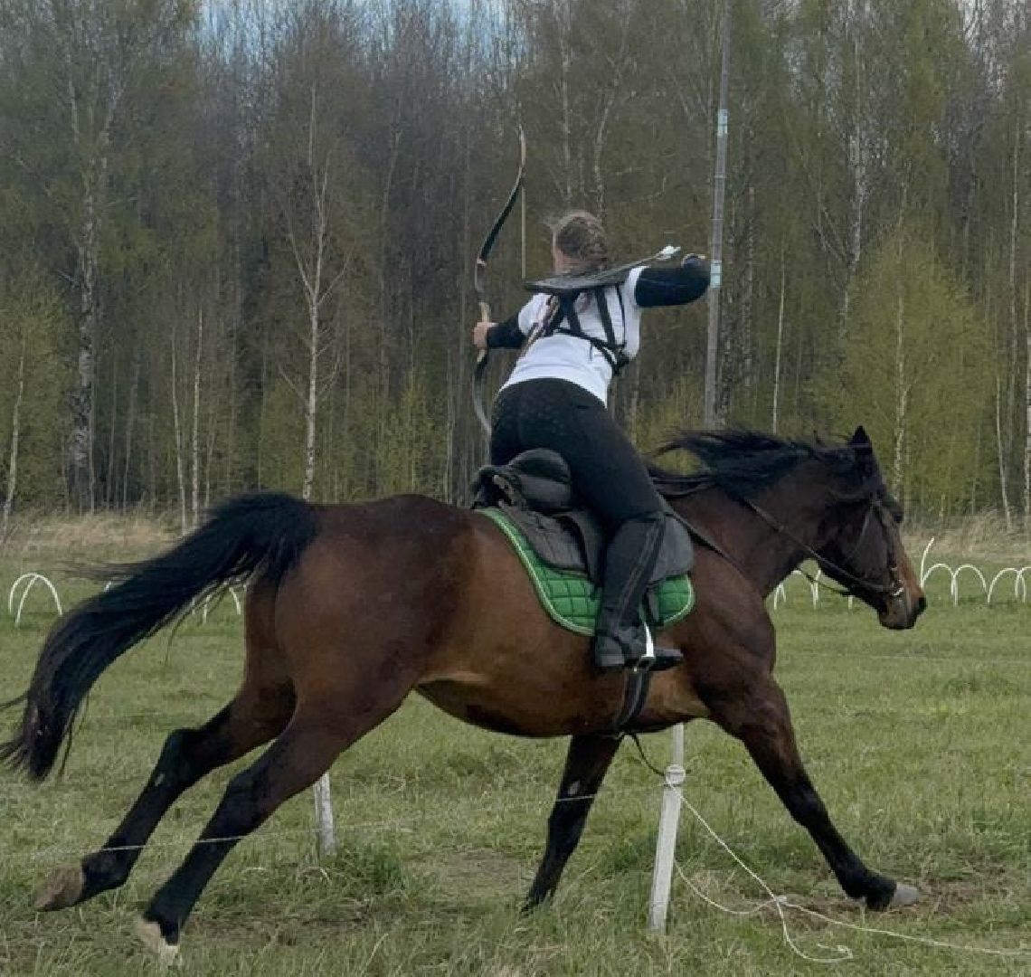 шаховская, лучники, кони, стрельба из лука,