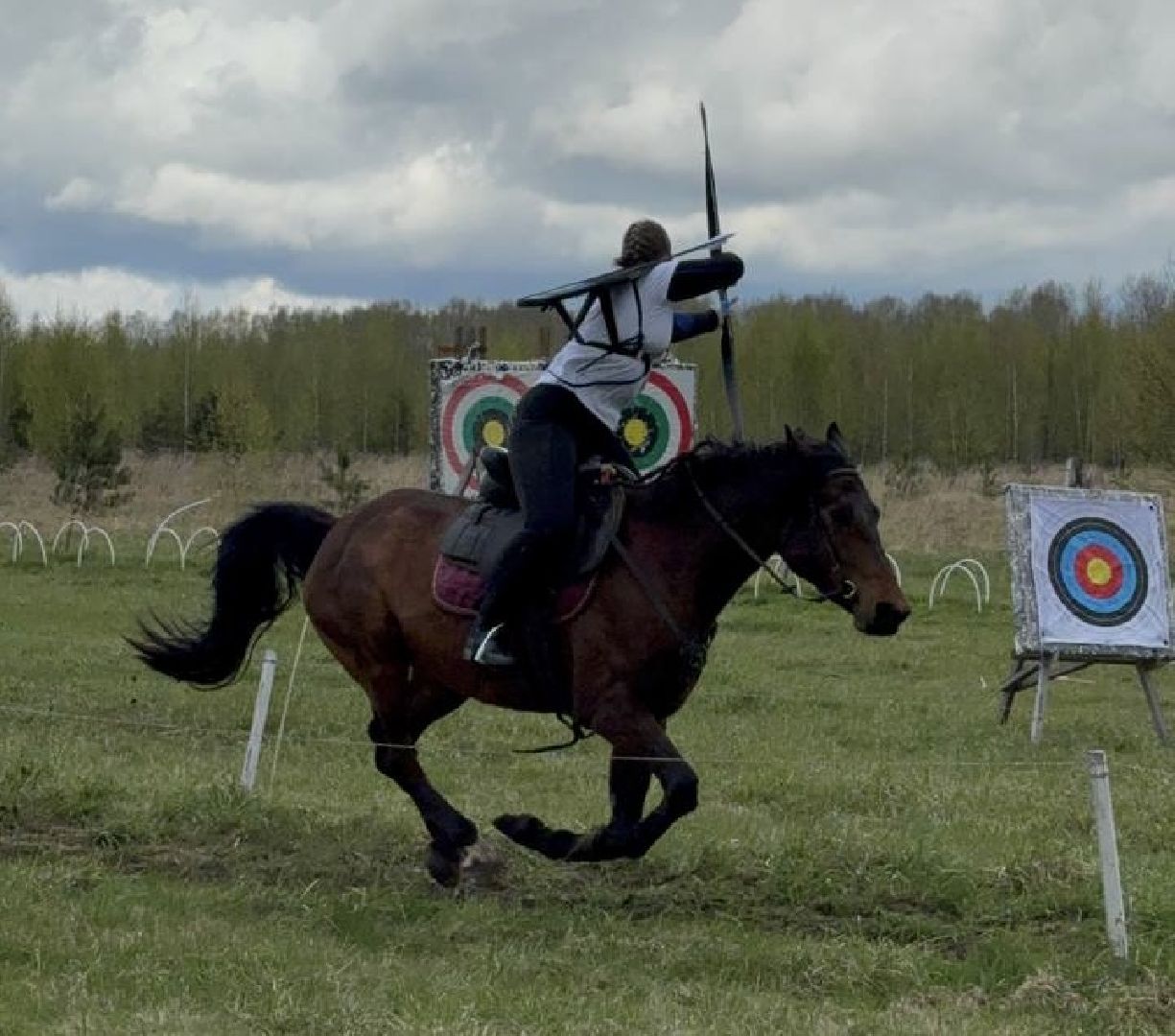 шаховская, лучники, кони, стрельба из лука,