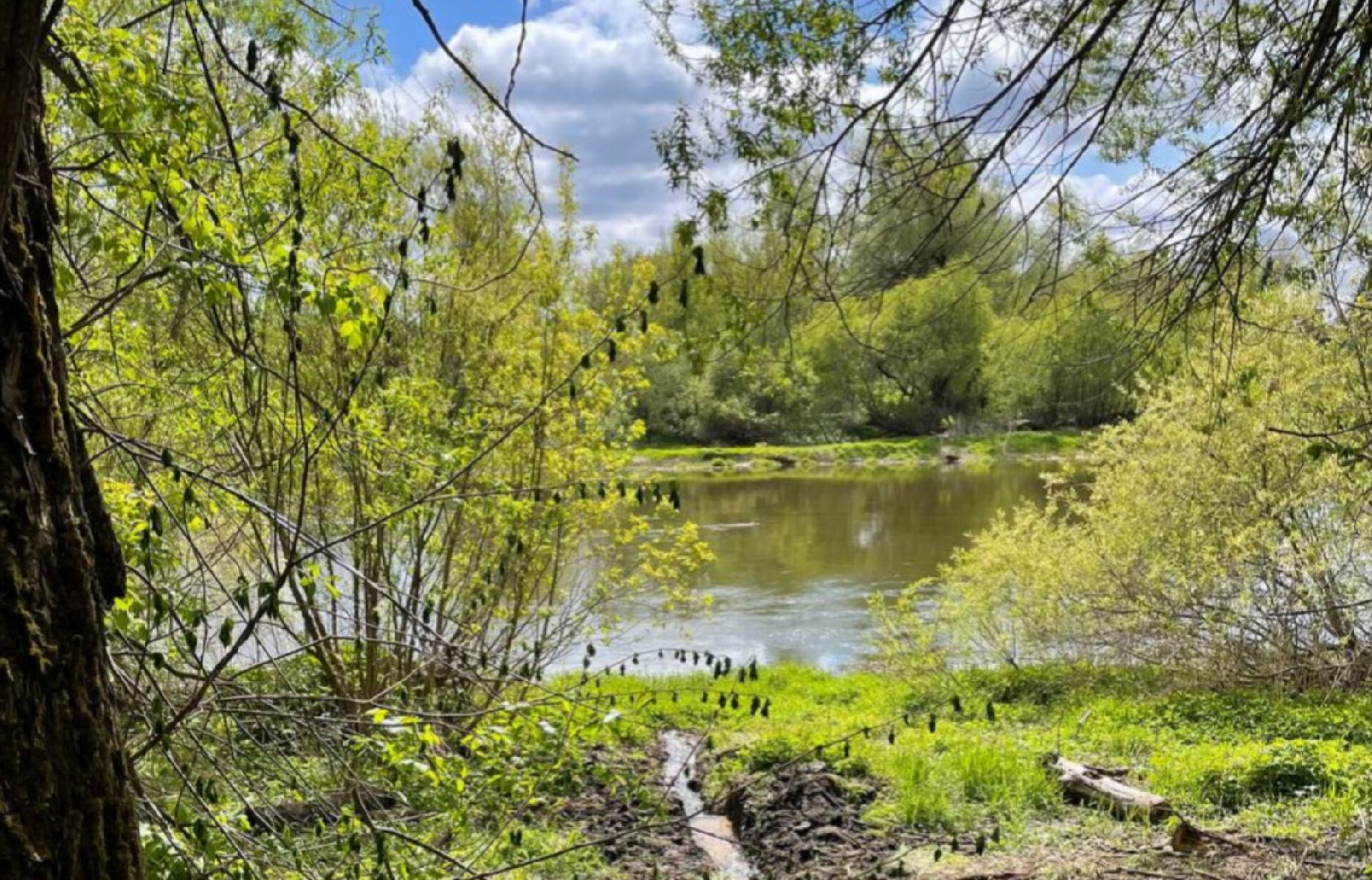 Туризм, Экология, Эко-проект, Путешествия, Краеведение ,