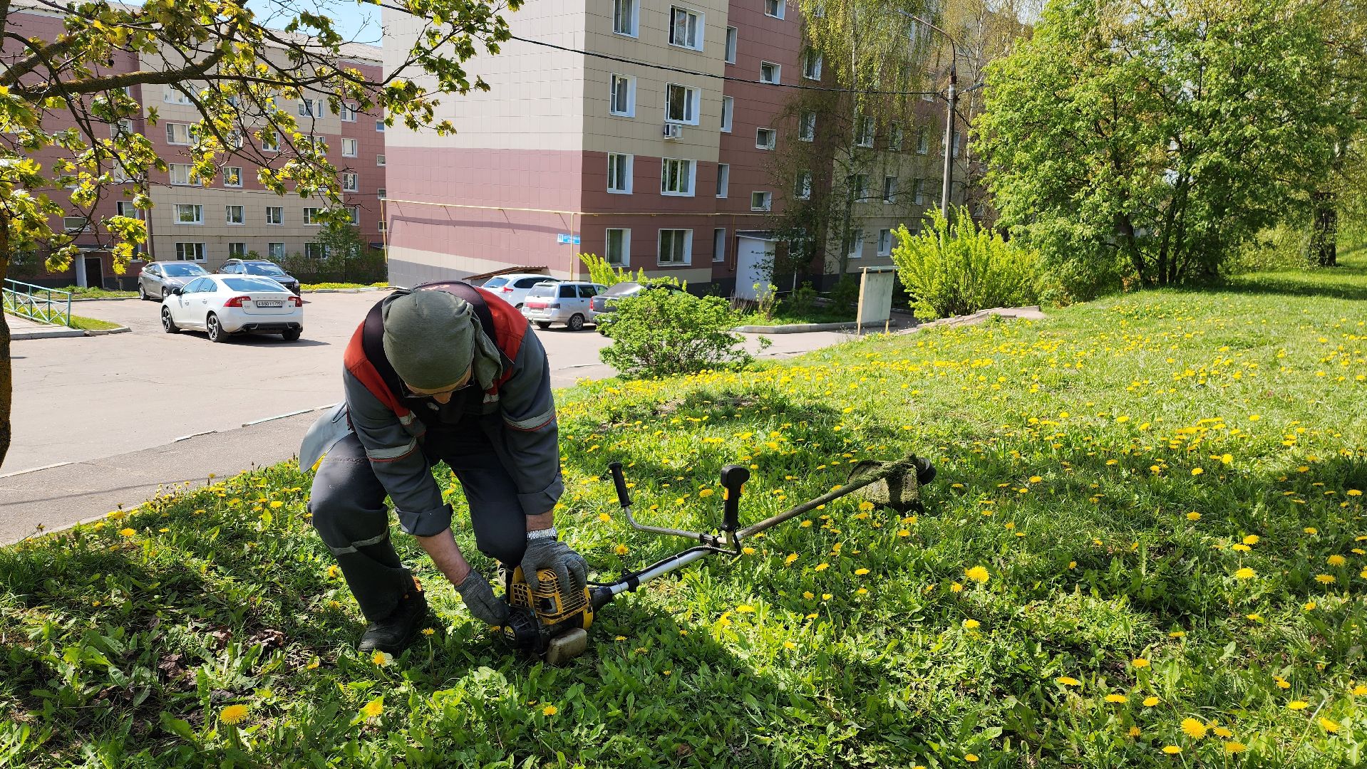 истра, благоустройство, клещи, газон,