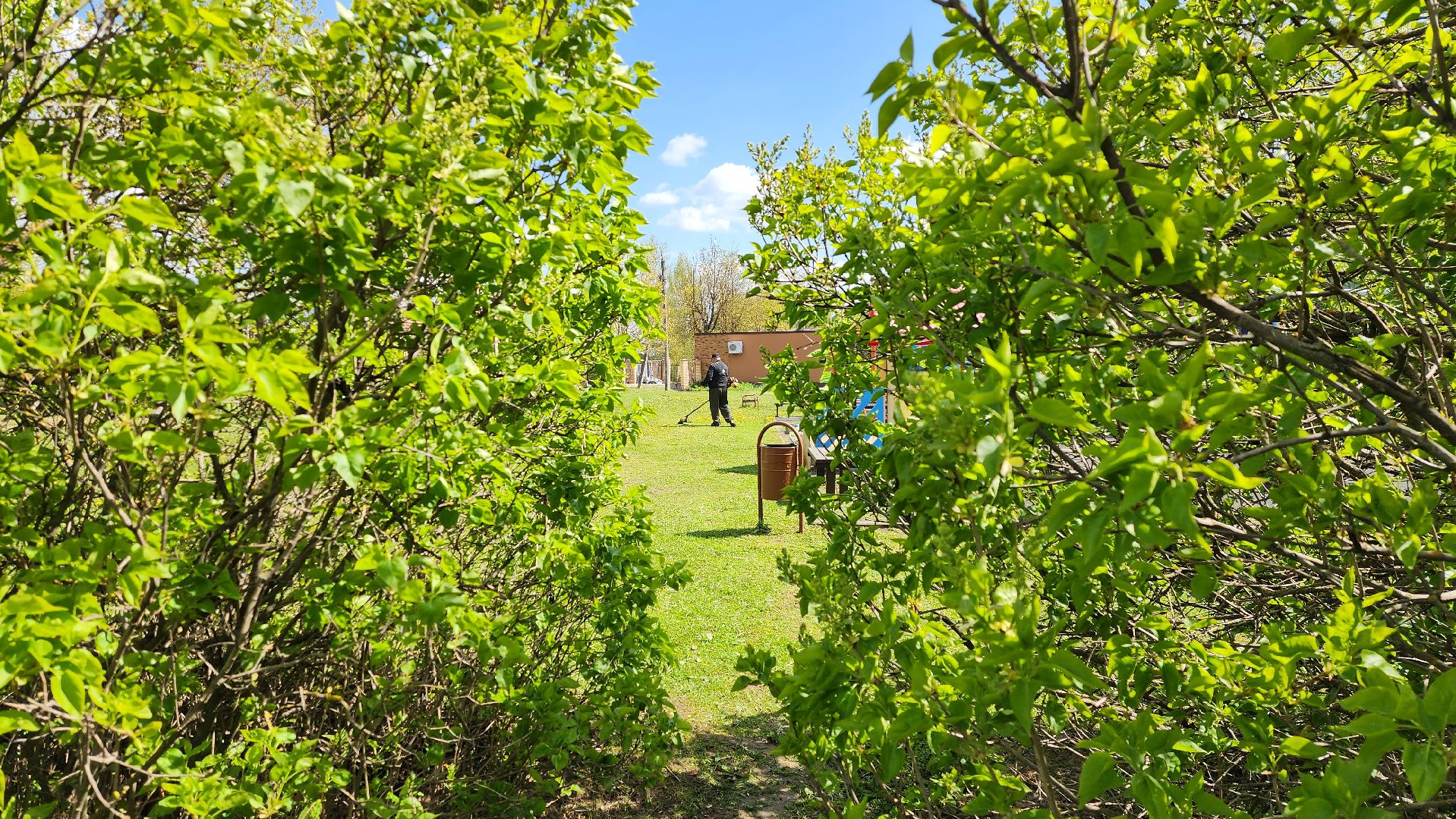 истра, благоустройство, клещи, газон,