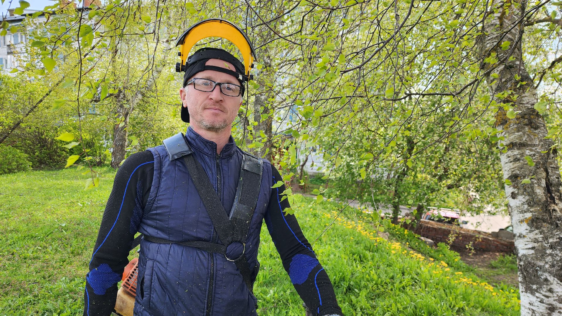 истра, благоустройство, клещи, газон,