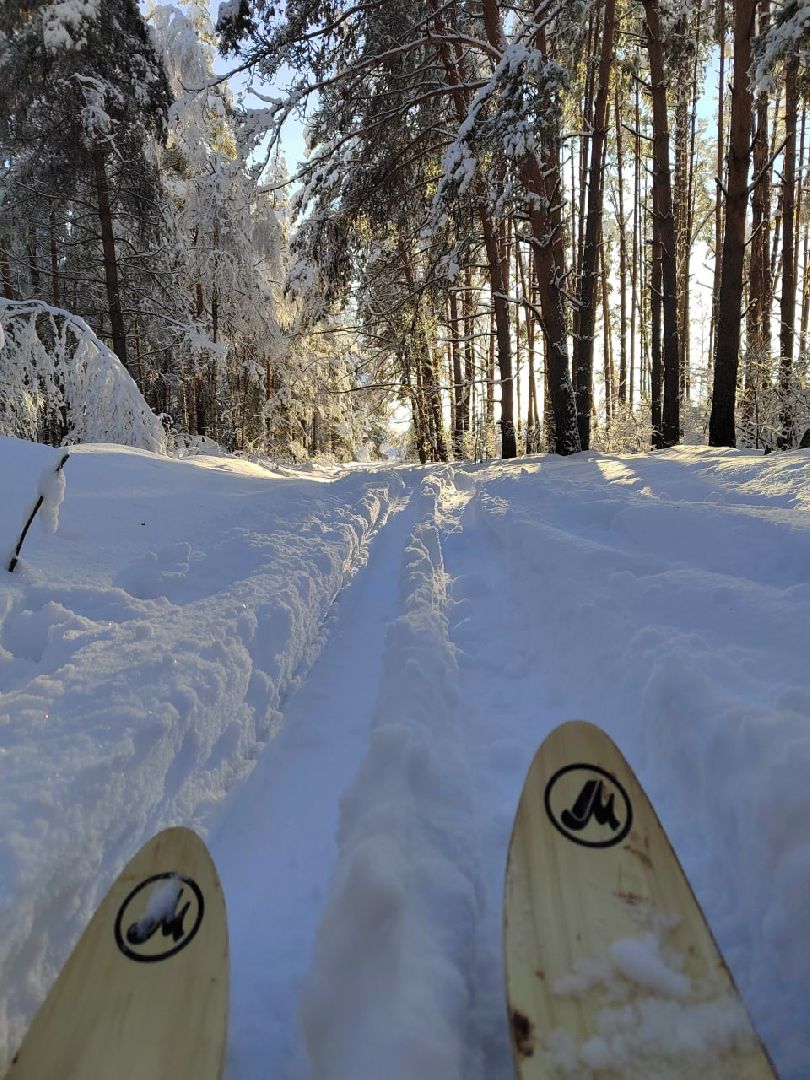 глэмпинг, шатурский округ, туризм в подмосковье,природа шатуры,