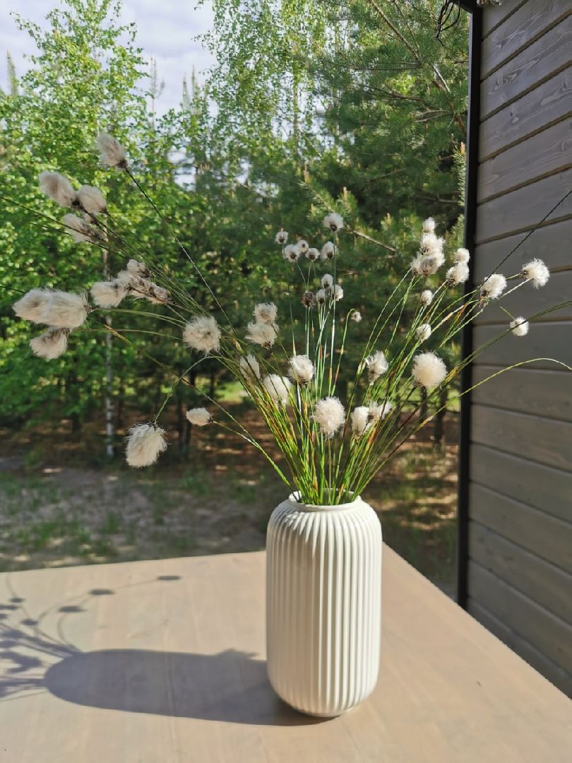 глэмпинг, шатурский округ, туризм в подмосковье,природа шатуры,