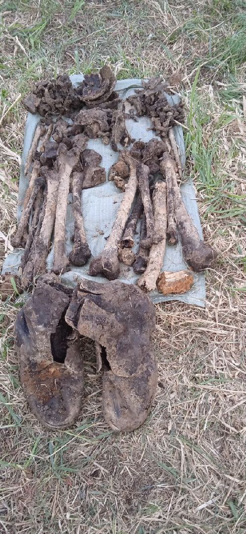 вахта памяти, вахта памяти раскопки, впк илья муромец, поисковый отряд русь, школа попова, 80 лет победе,