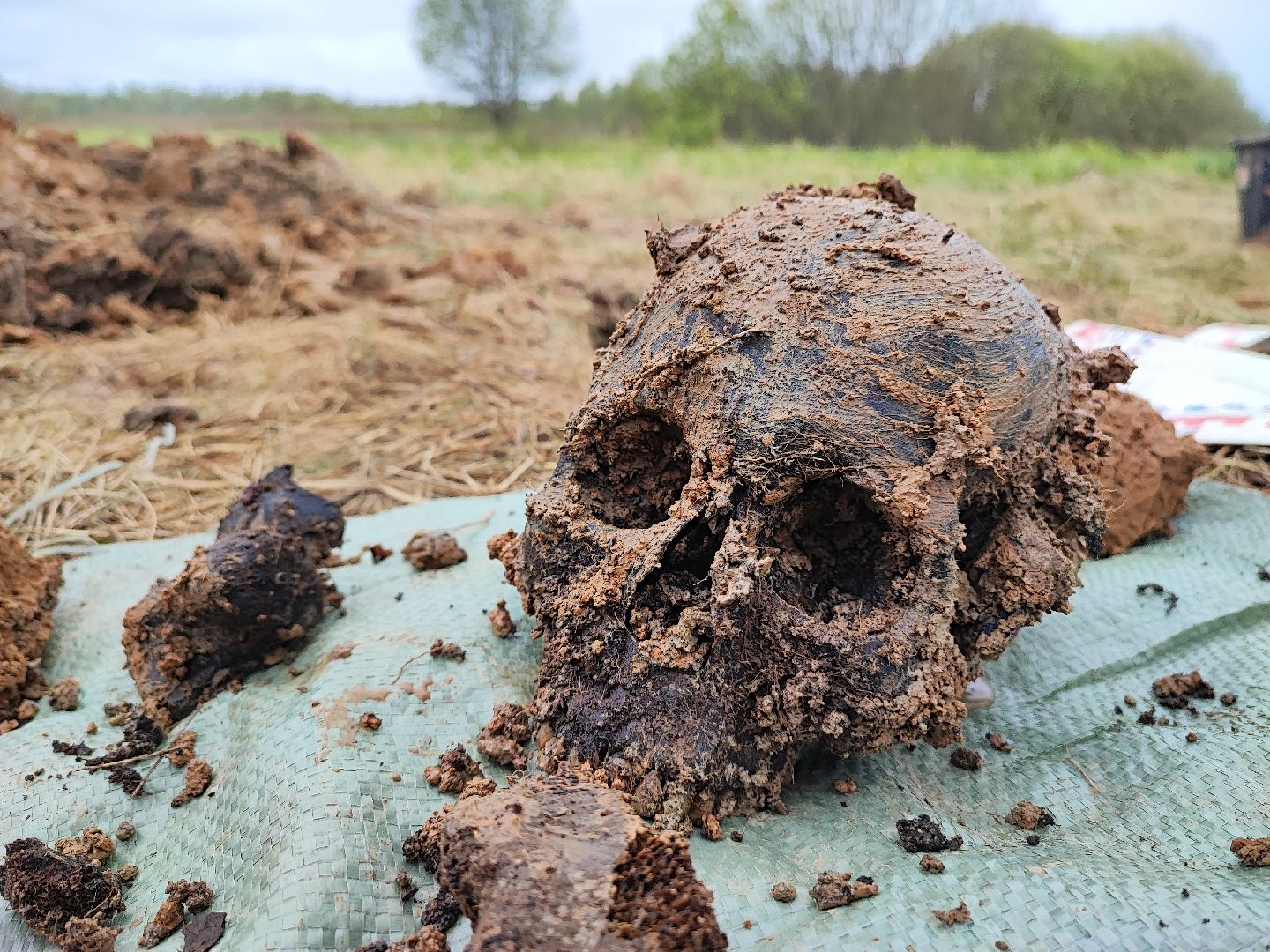 вахта памяти, вахта памяти раскопки, впк илья муромец, поисковый отряд русь, школа попова, 80 лет победе,