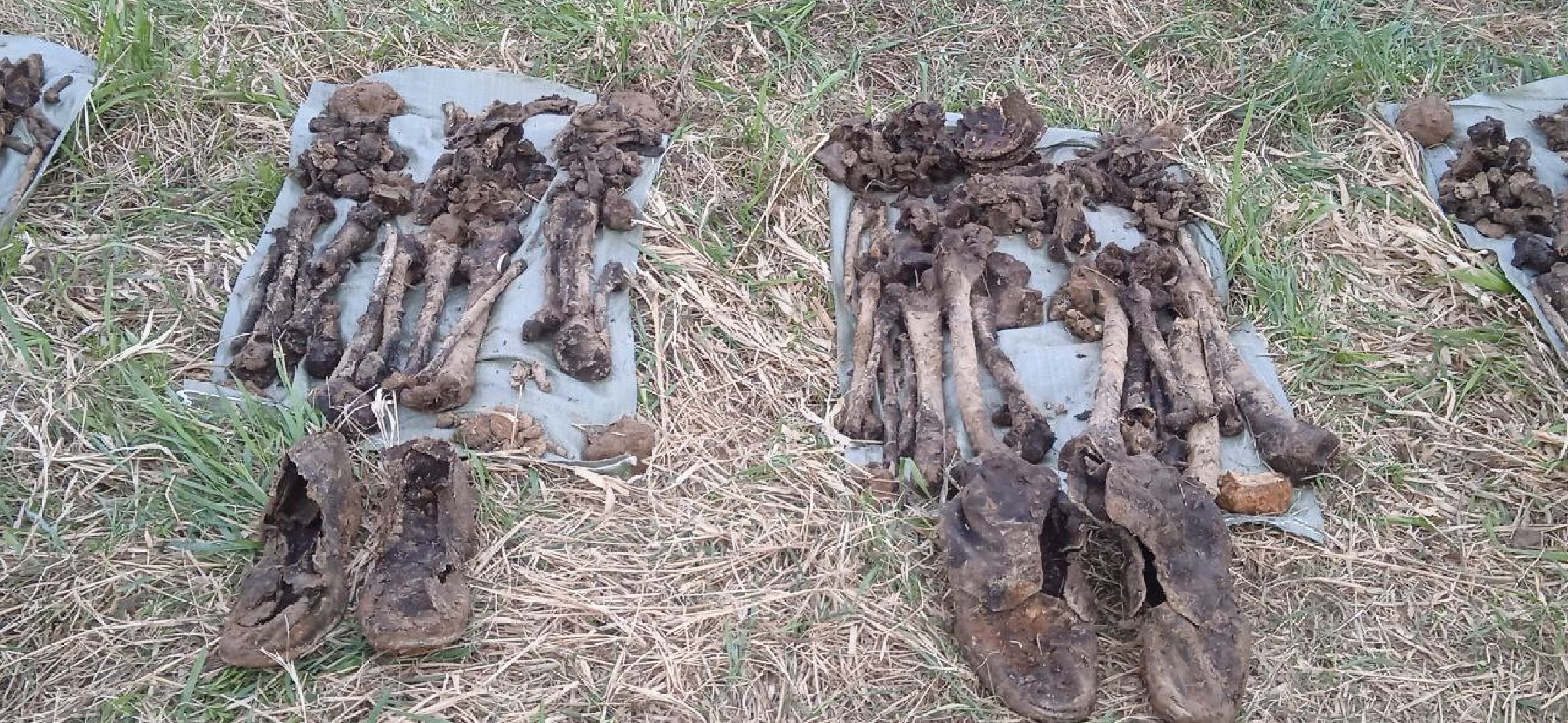 вахта памяти, вахта памяти раскопки, впк илья муромец, поисковый отряд русь, школа попова, 80 лет победе,