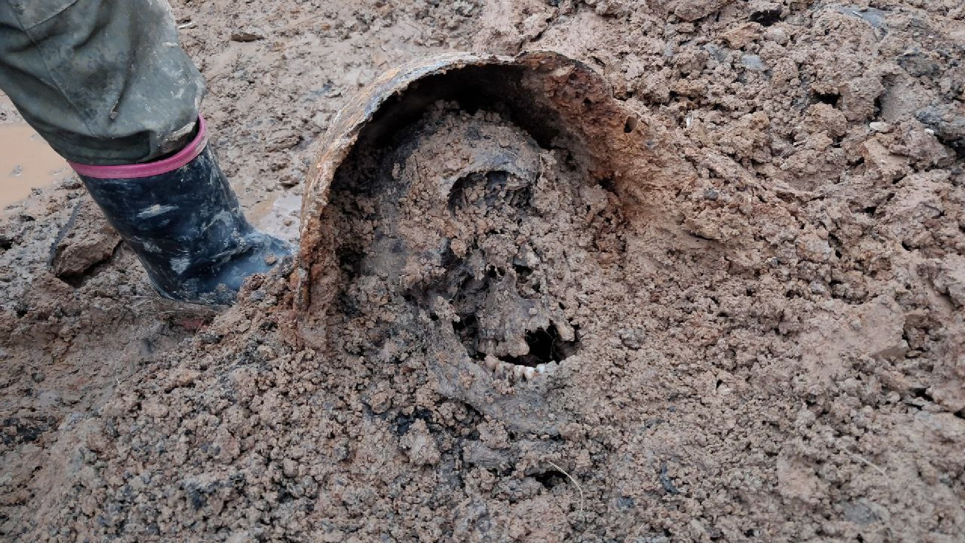 вахта памяти, вахта памяти раскопки, впк илья муромец, поисковый отряд русь, школа попова, 80 лет победе,