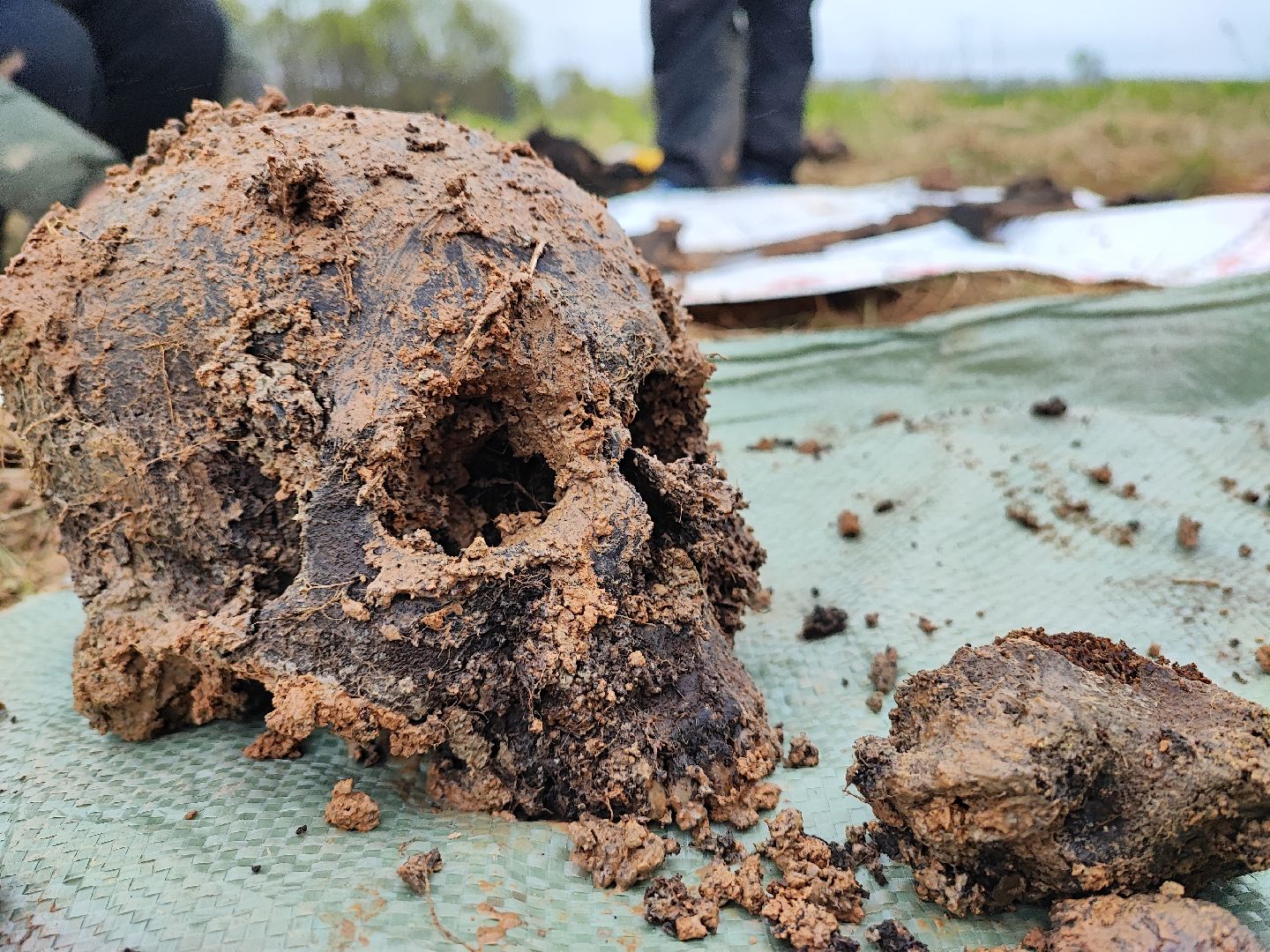 вахта памяти, вахта памяти раскопки, впк илья муромец, поисковый отряд русь, школа попова, 80 лет победе,
