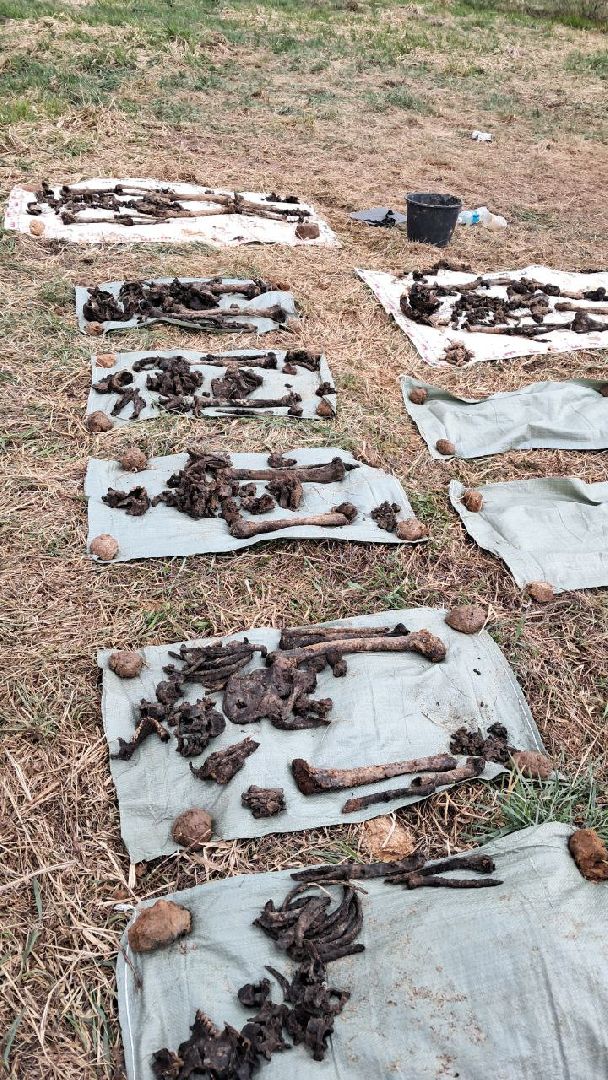 вахта памяти, вахта памяти раскопки, впк илья муромец, поисковый отряд русь, школа попова, 80 лет победе,