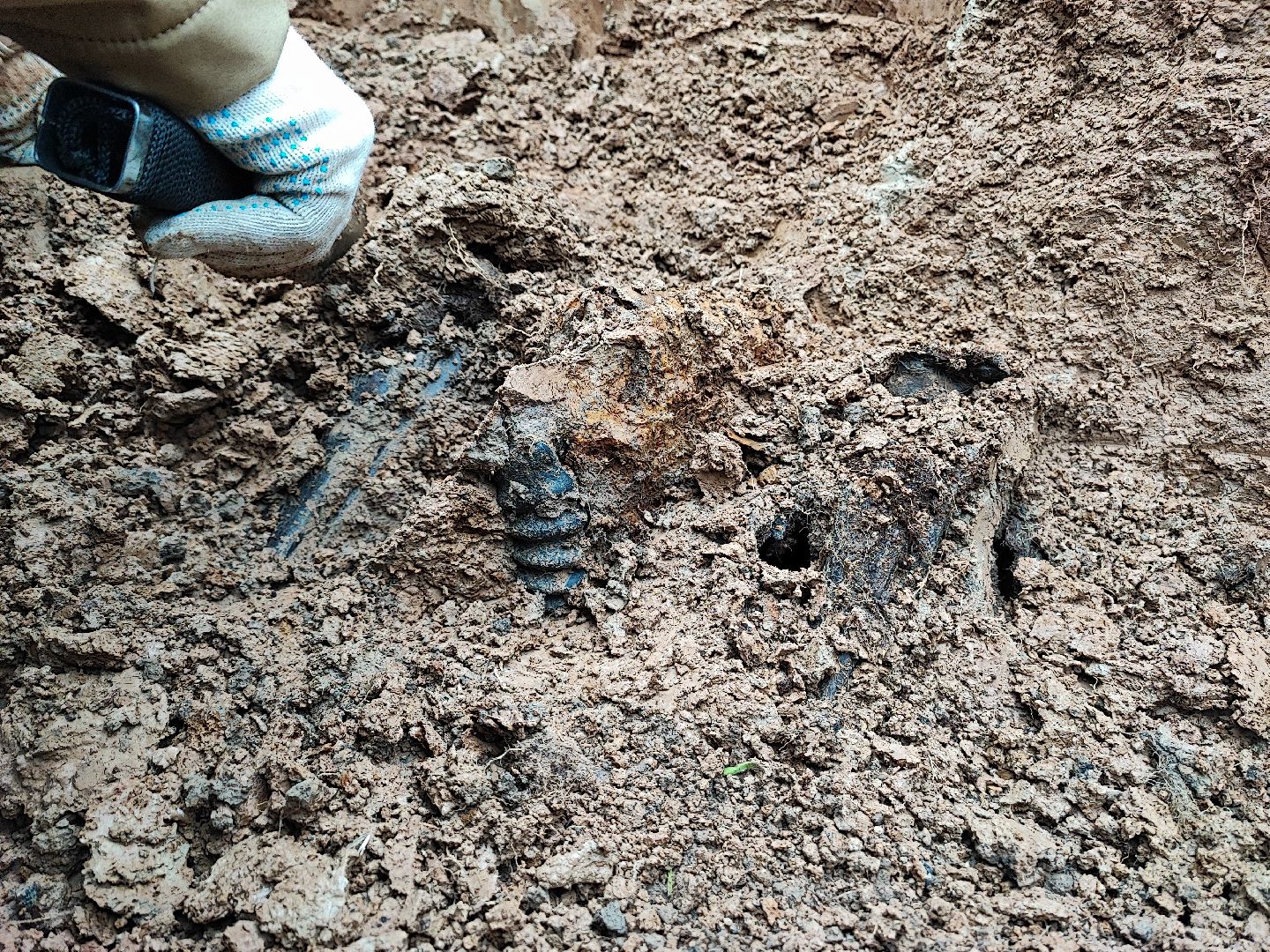 вахта памяти, вахта памяти раскопки, впк илья муромец, поисковый отряд русь, школа попова, 80 лет победе,