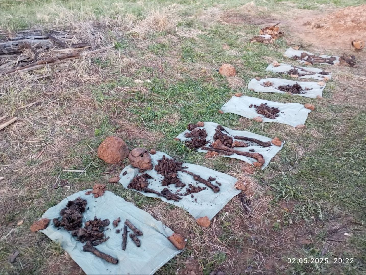 вахта памяти, вахта памяти раскопки, впк илья муромец, поисковый отряд русь, школа попова, 80 лет победе,