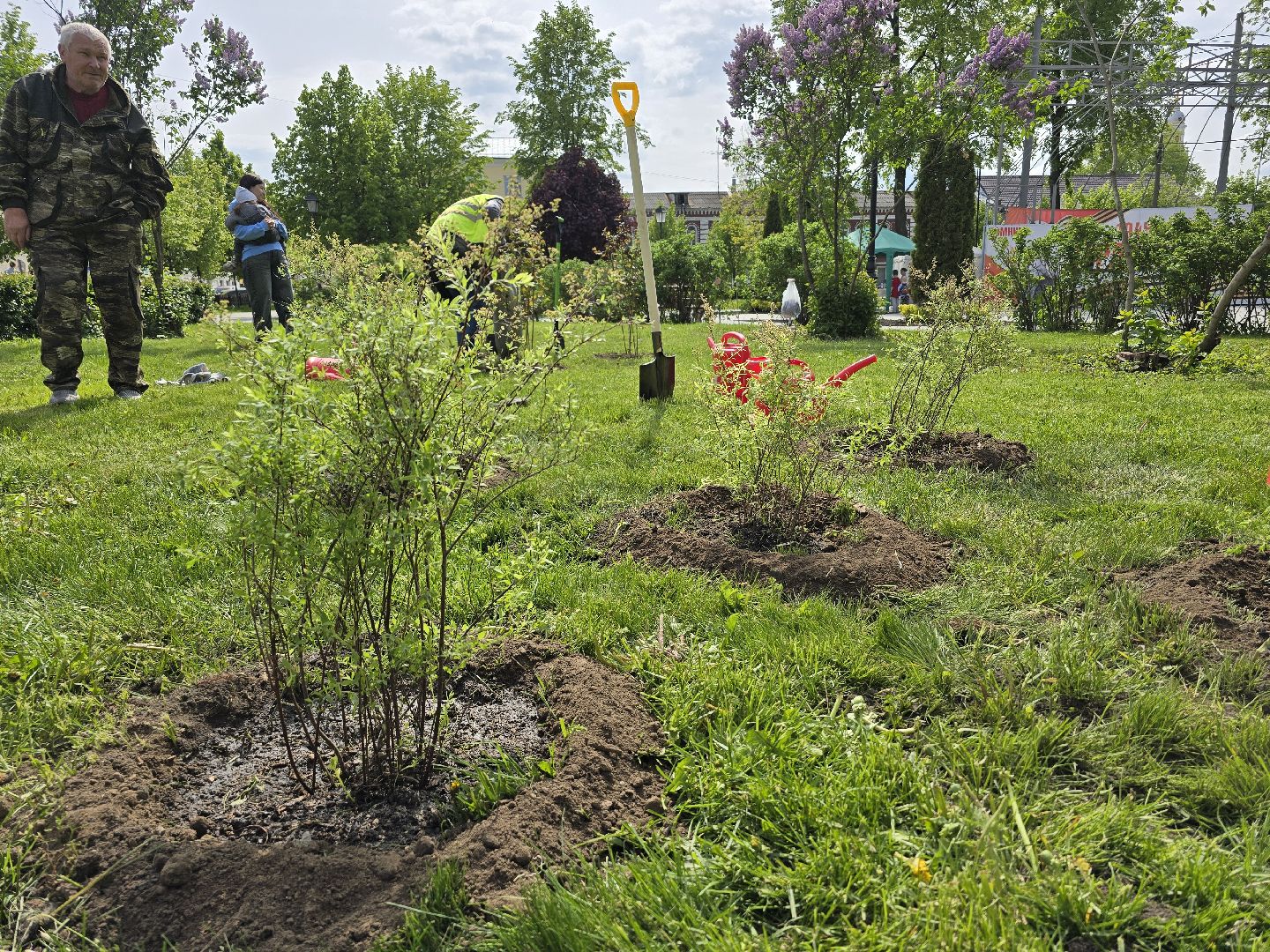 Коломна, открытие летнего сезона, высадка саженцев, озеленение,