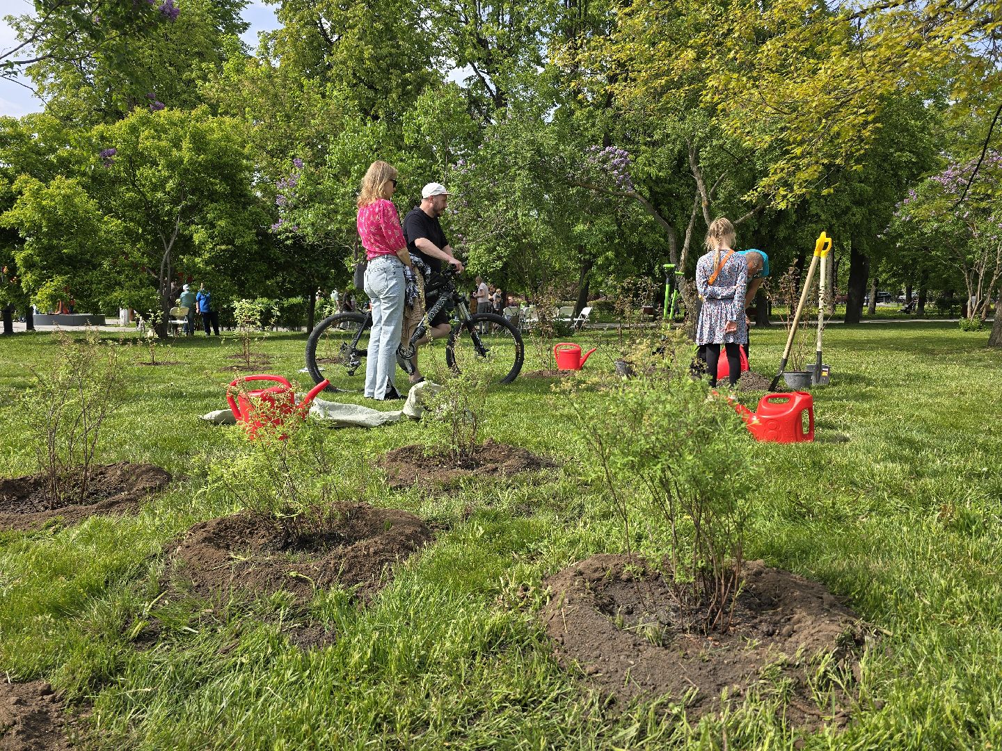 Коломна, открытие летнего сезона, высадка саженцев, озеленение,