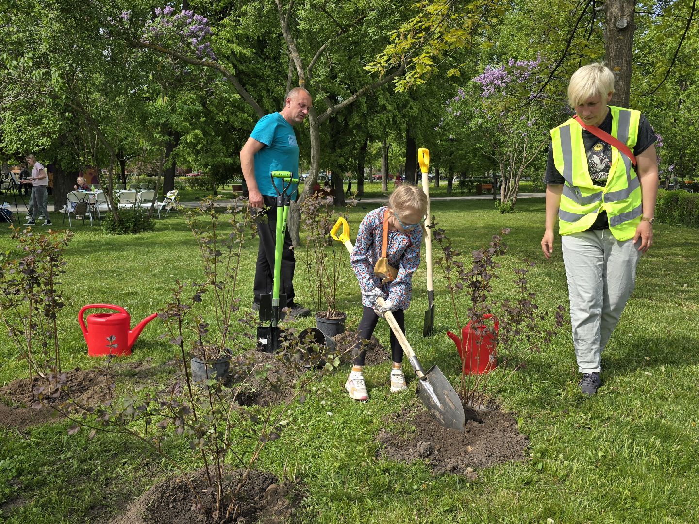 Коломна, открытие летнего сезона, высадка саженцев, озеленение,