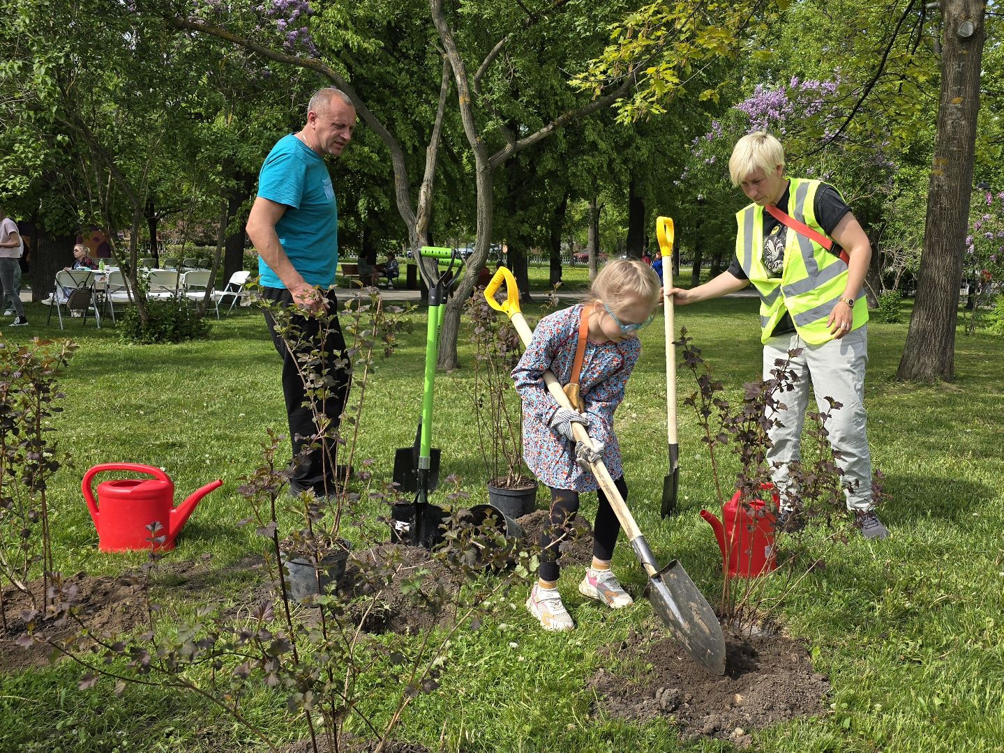 Коломна, открытие летнего сезона, высадка саженцев, озеленение,