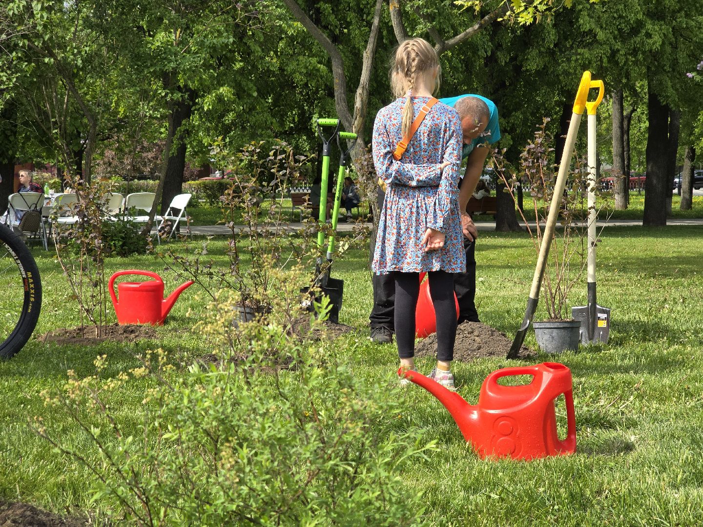 Коломна, открытие летнего сезона, высадка саженцев, озеленение,