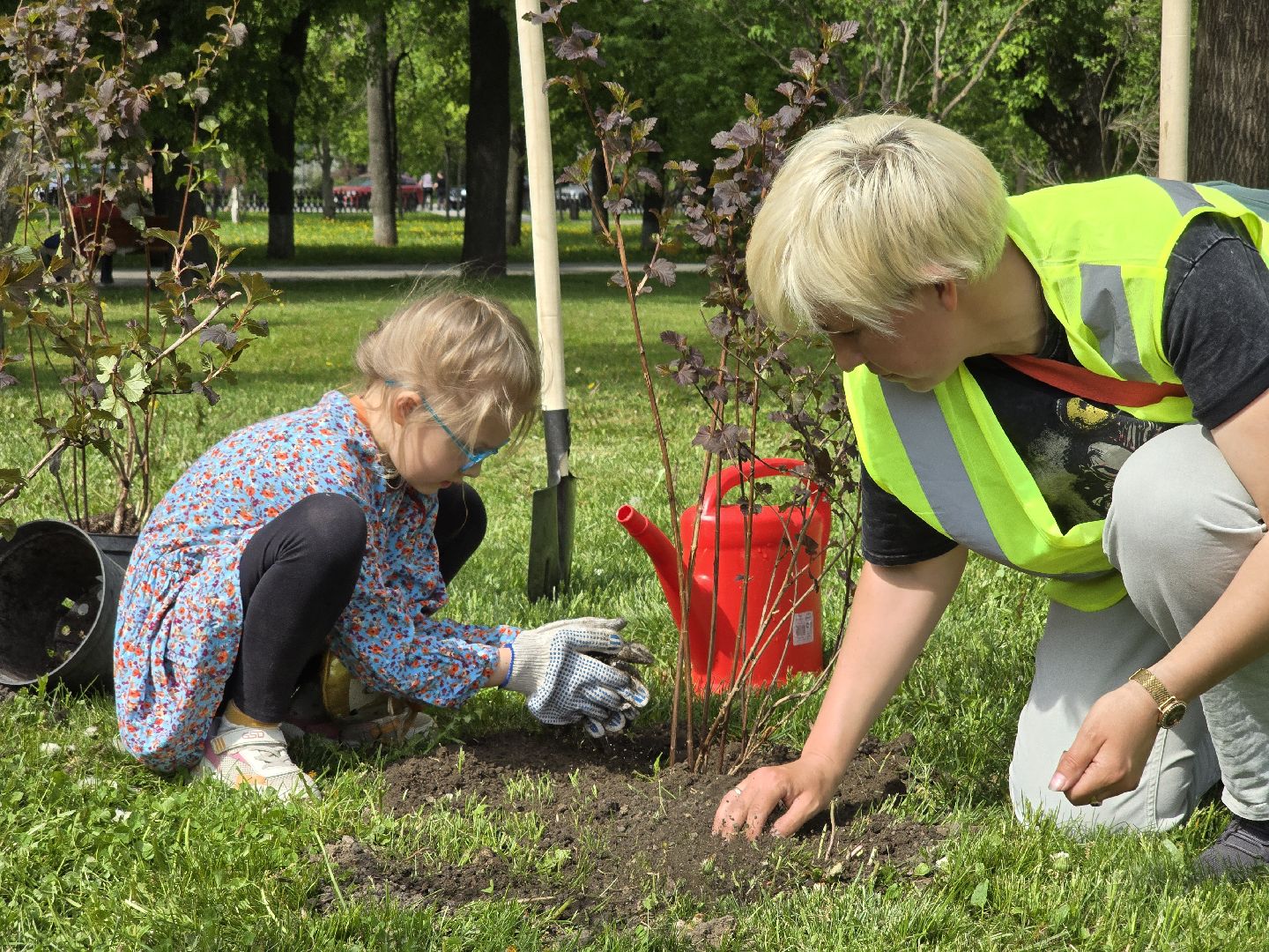 Коломна, открытие летнего сезона, высадка саженцев, озеленение,