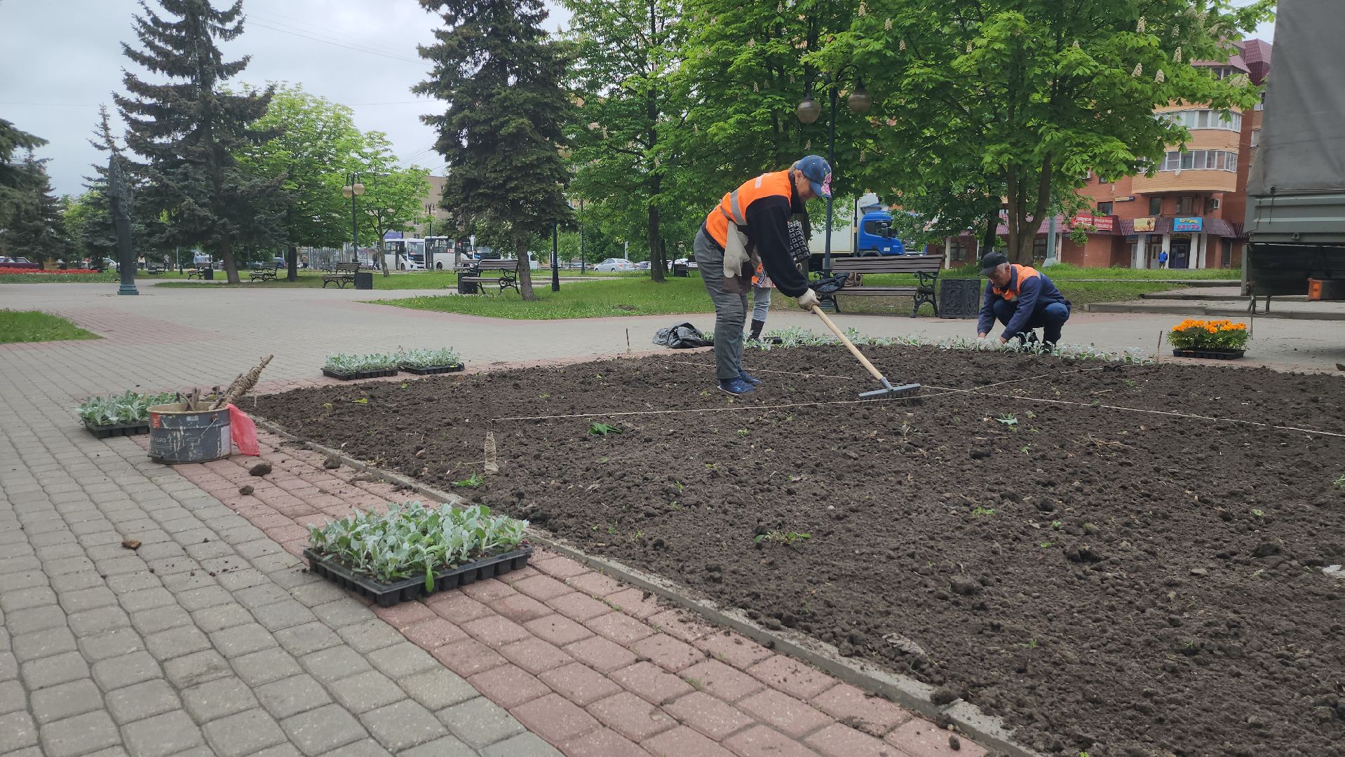 серпухов, клумба на юбилейной площади, комбинат благоустройства, посадка цветов в серпухове,
