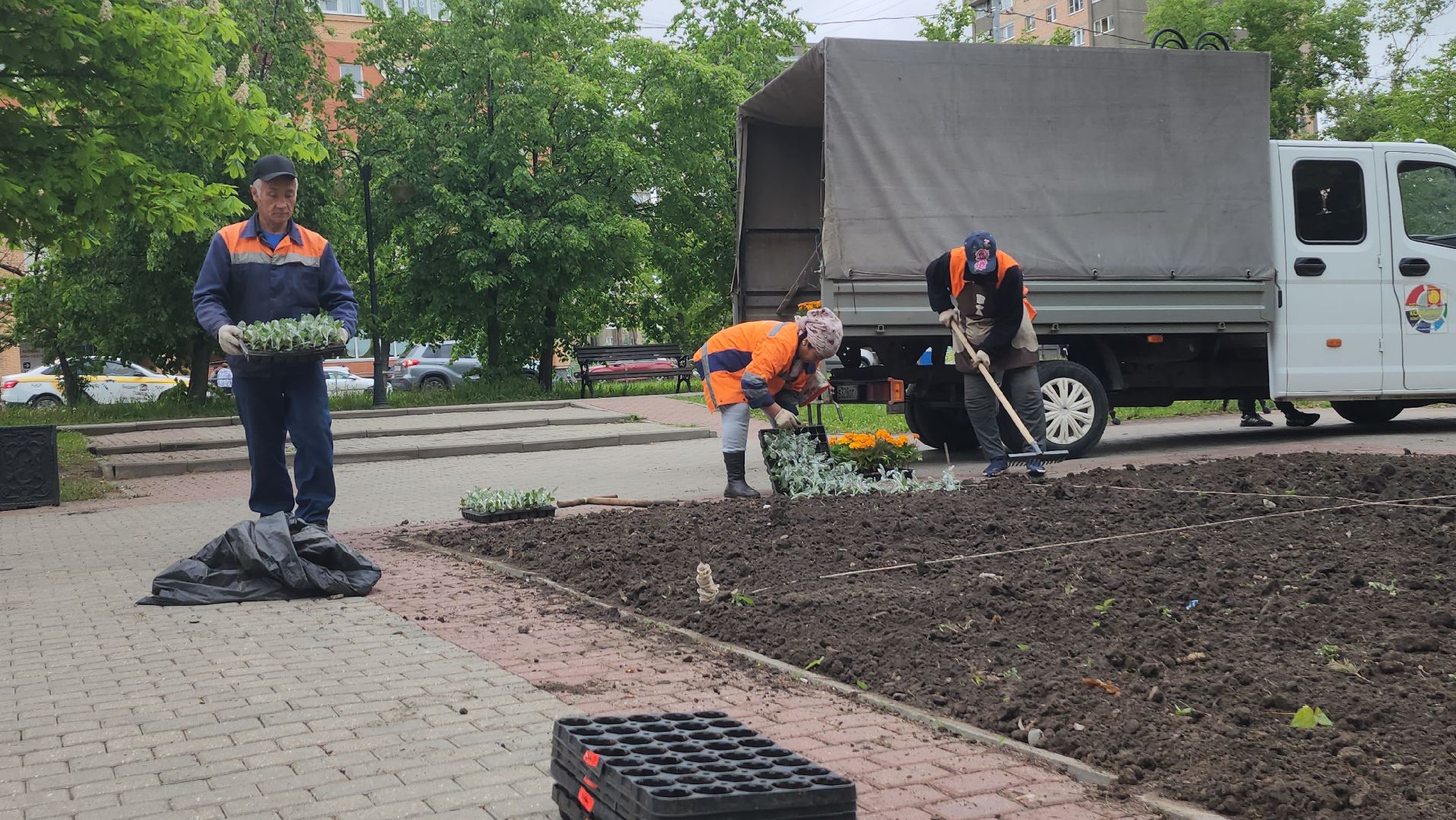 серпухов, клумба на юбилейной площади, комбинат благоустройства, посадка цветов в серпухове,