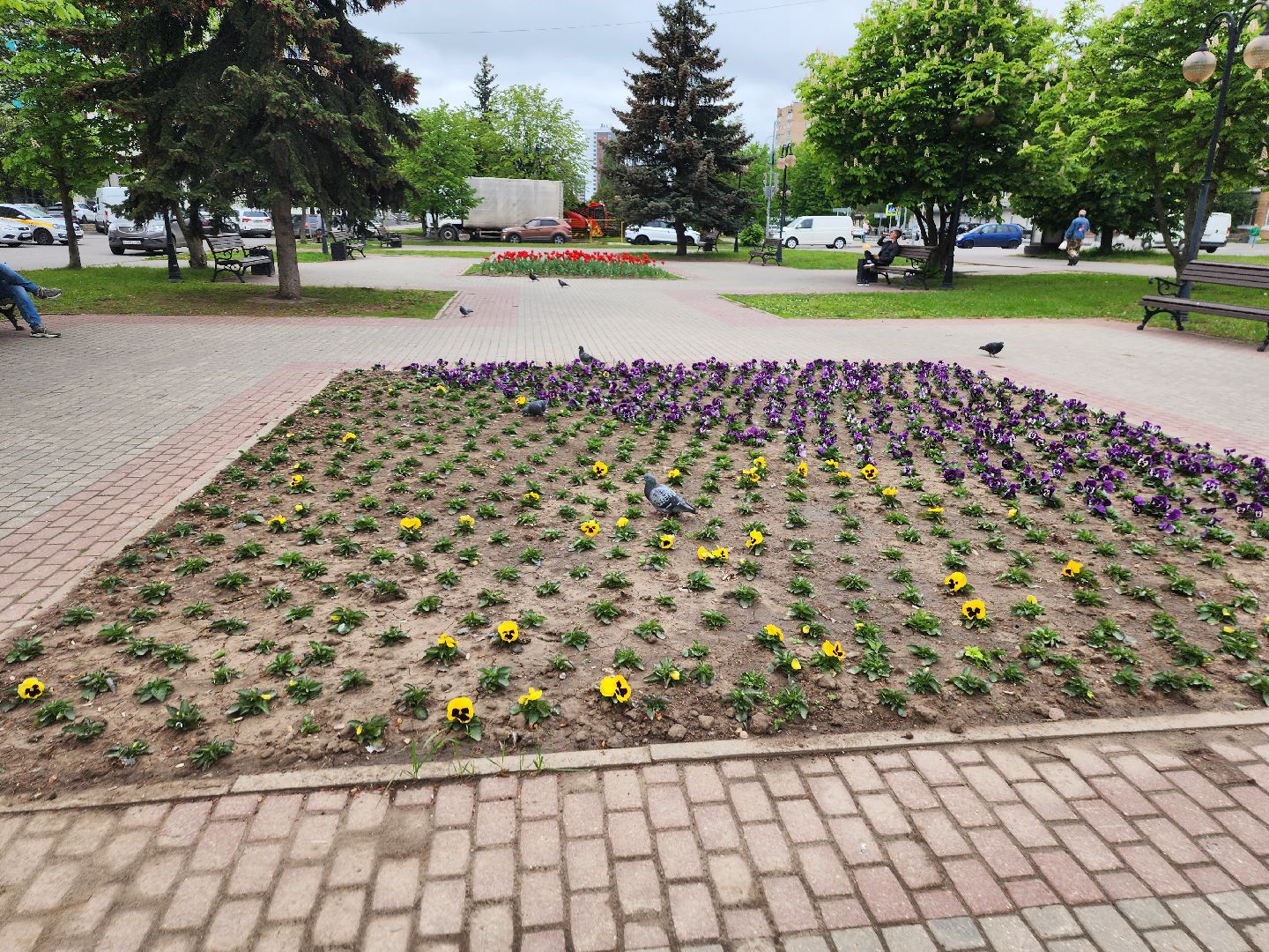 серпухов, клумба на юбилейной площади, комбинат благоустройства, посадка цветов в серпухове,