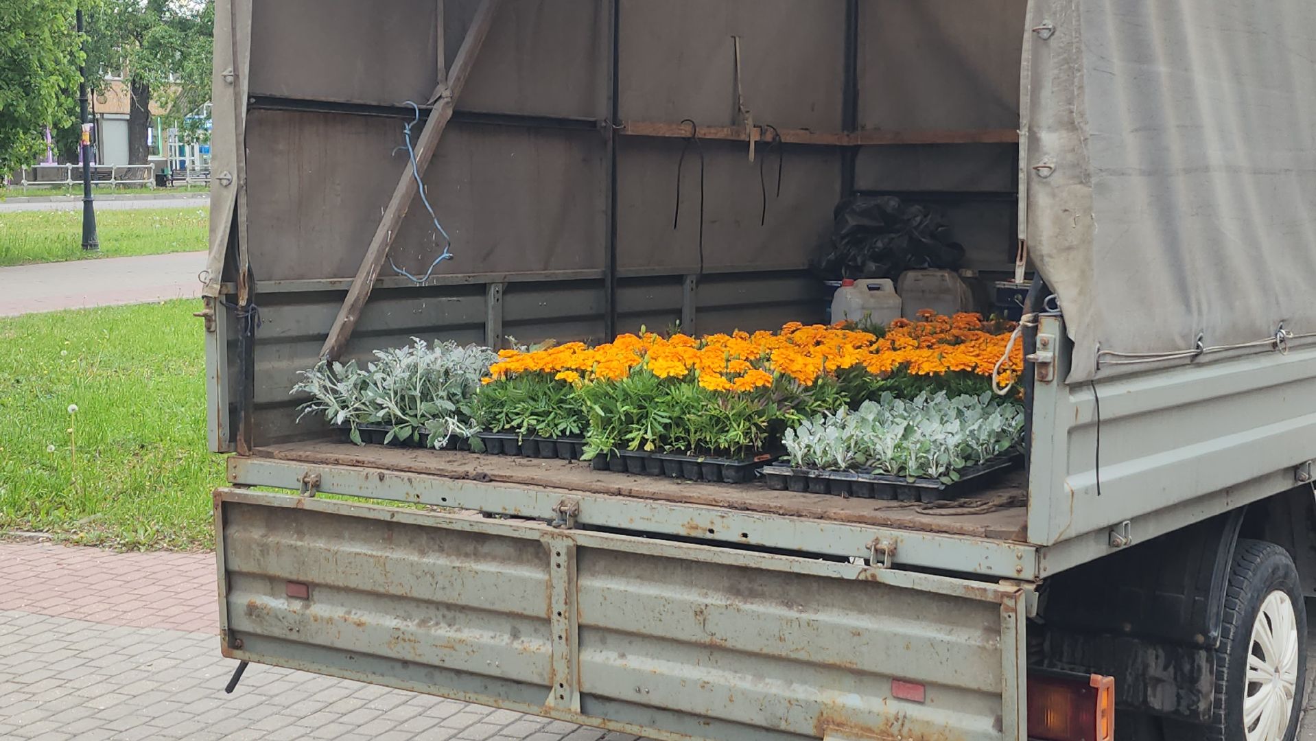 серпухов, клумба на юбилейной площади, комбинат благоустройства, посадка цветов в серпухове,