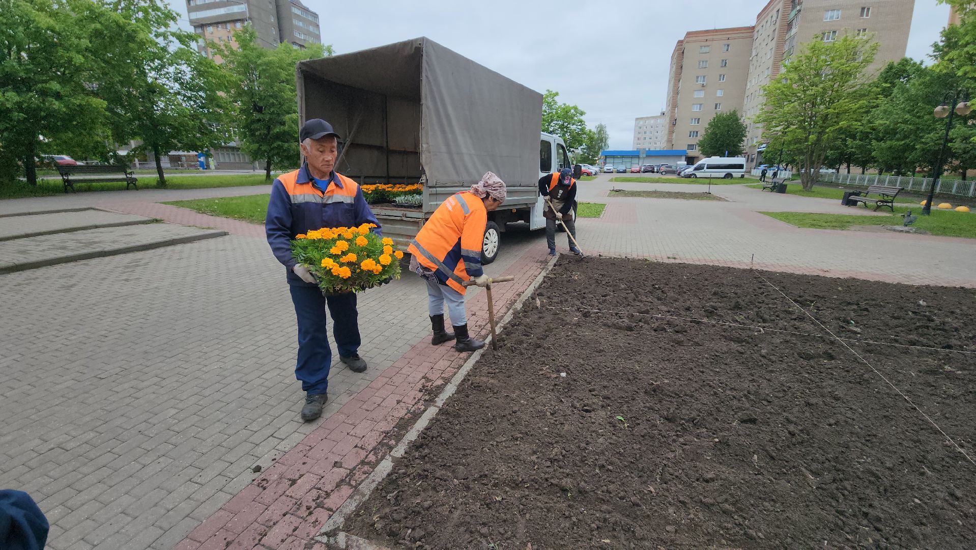 серпухов, клумба на юбилейной площади, комбинат благоустройства, посадка цветов в серпухове,