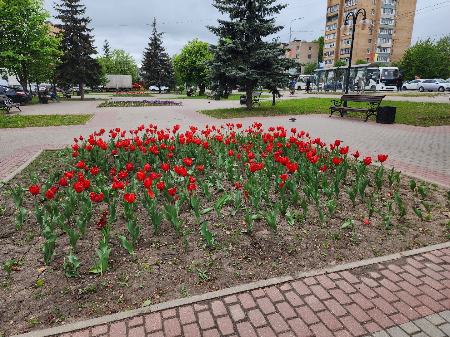 серпухов, клумба на юбилейной площади, комбинат благоустройства, посадка цветов в серпухове,