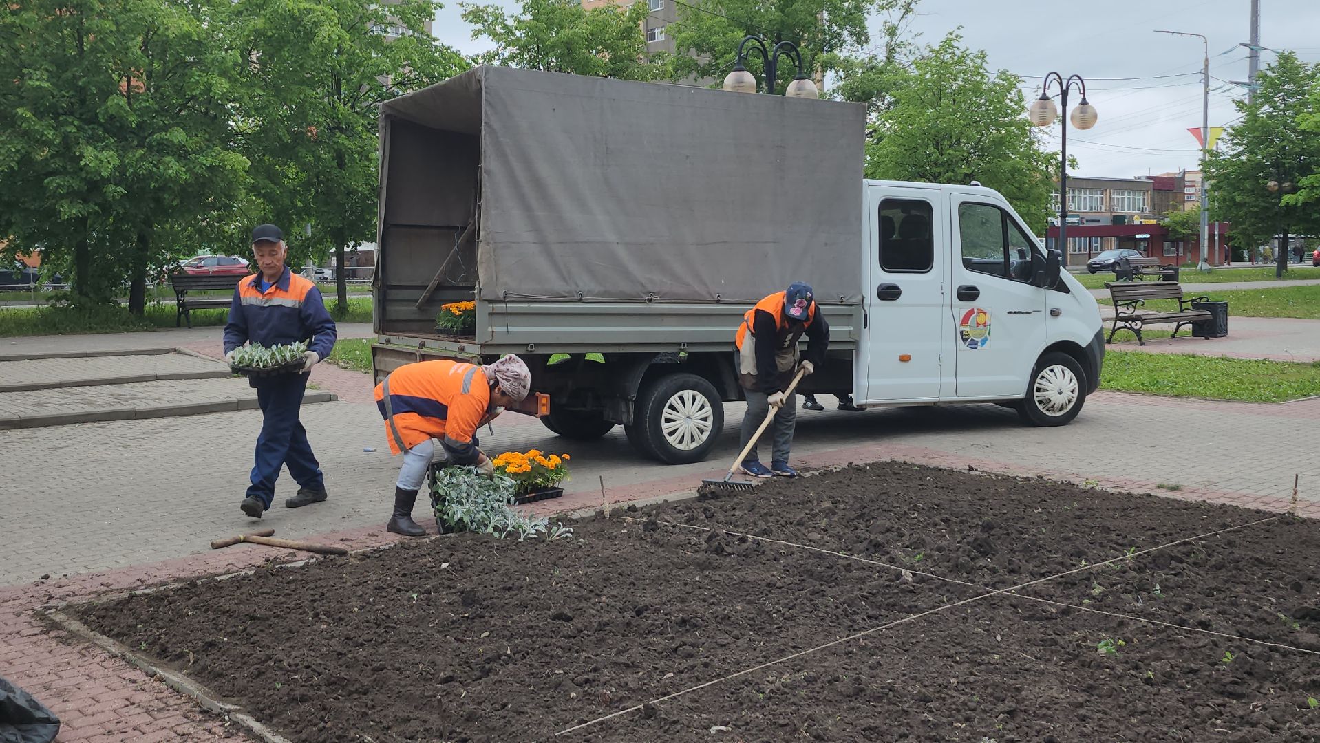 серпухов, клумба на юбилейной площади, комбинат благоустройства, посадка цветов в серпухове,