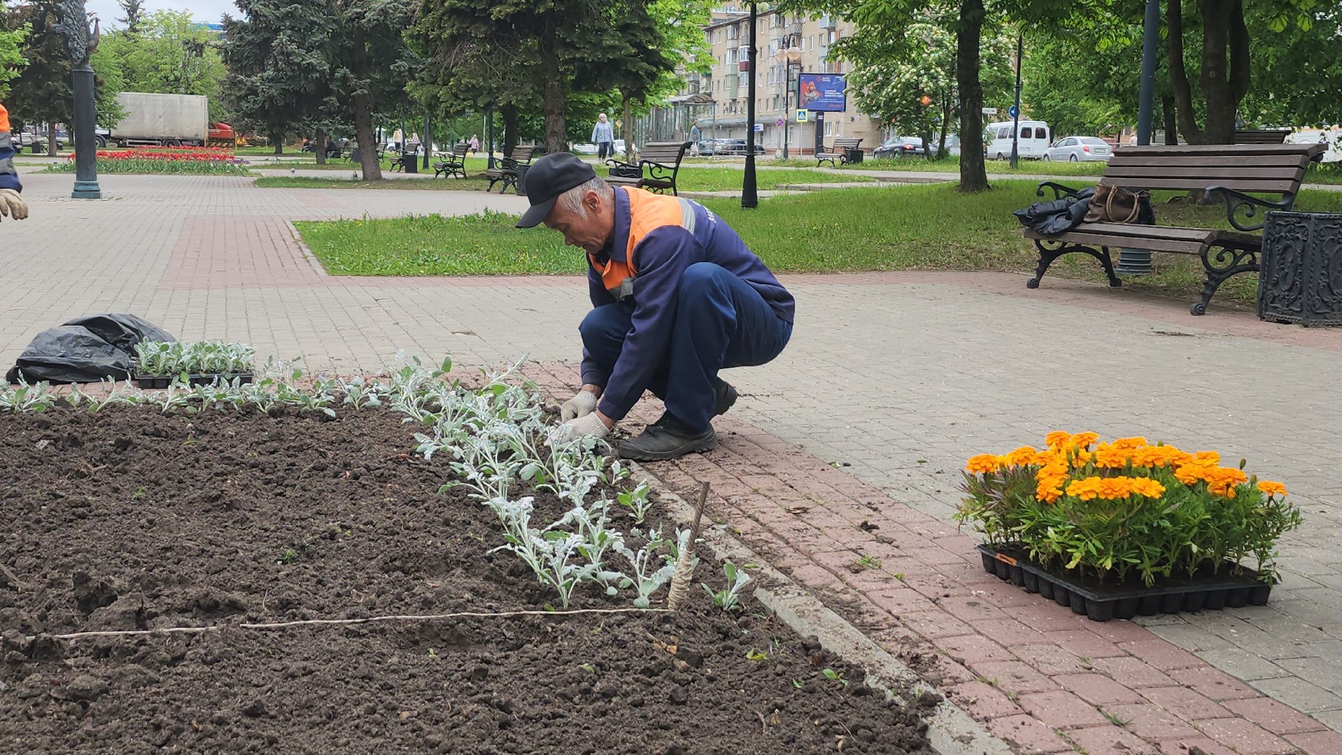 серпухов, клумба на юбилейной площади, комбинат благоустройства, посадка цветов в серпухове,