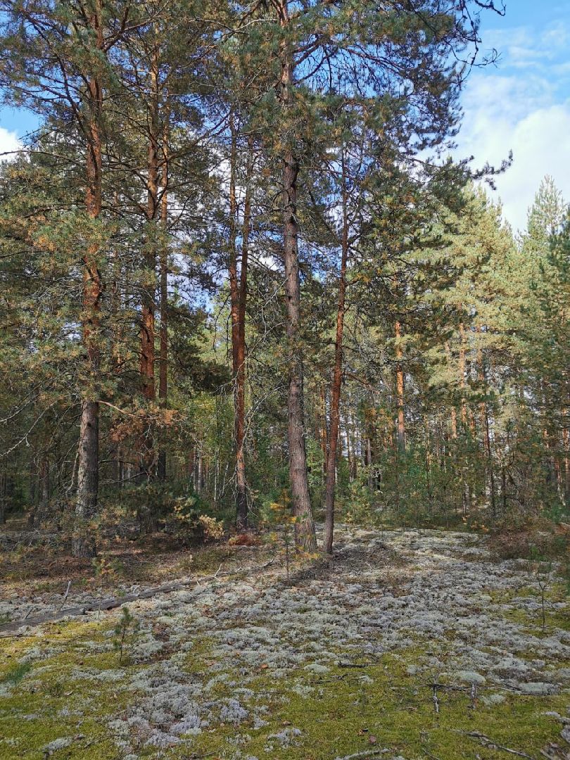 природа шатуры, шатурский край, шатурский округ, туристические маршруты,