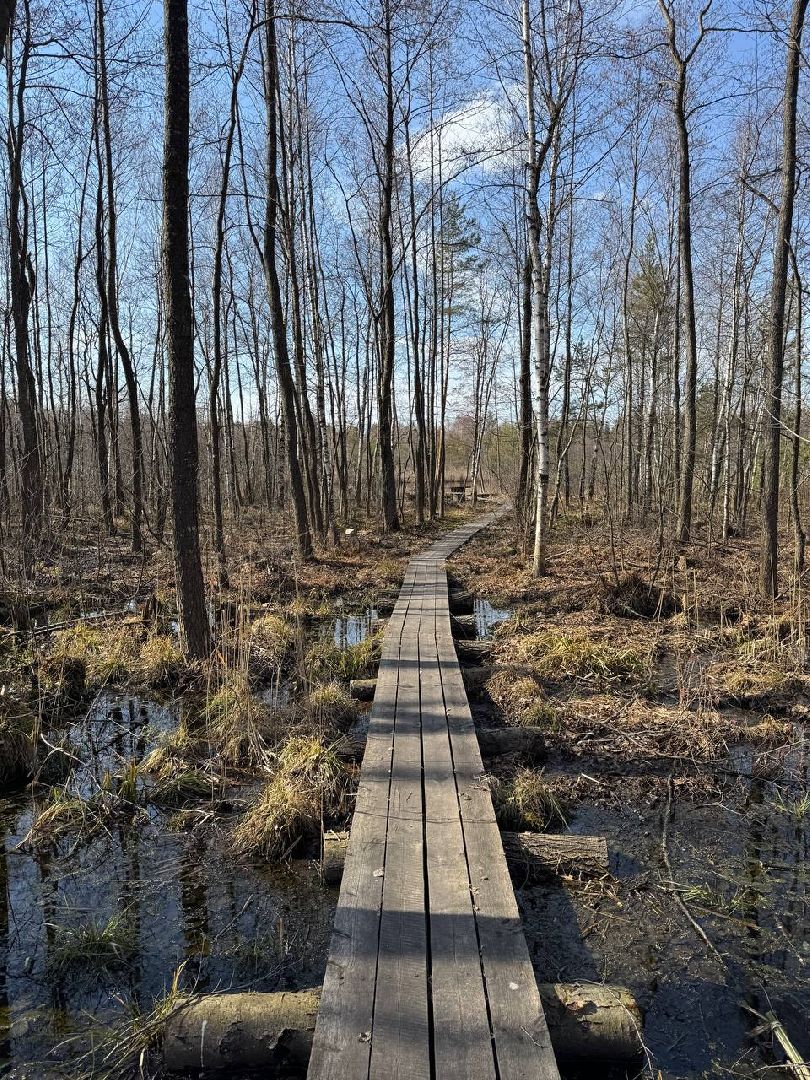 природа шатуры, шатурский край, шатурский округ, туристические маршруты,