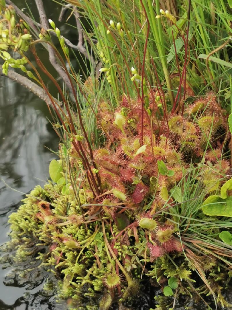 природа шатуры, шатурский край, шатурский округ, туристические маршруты,