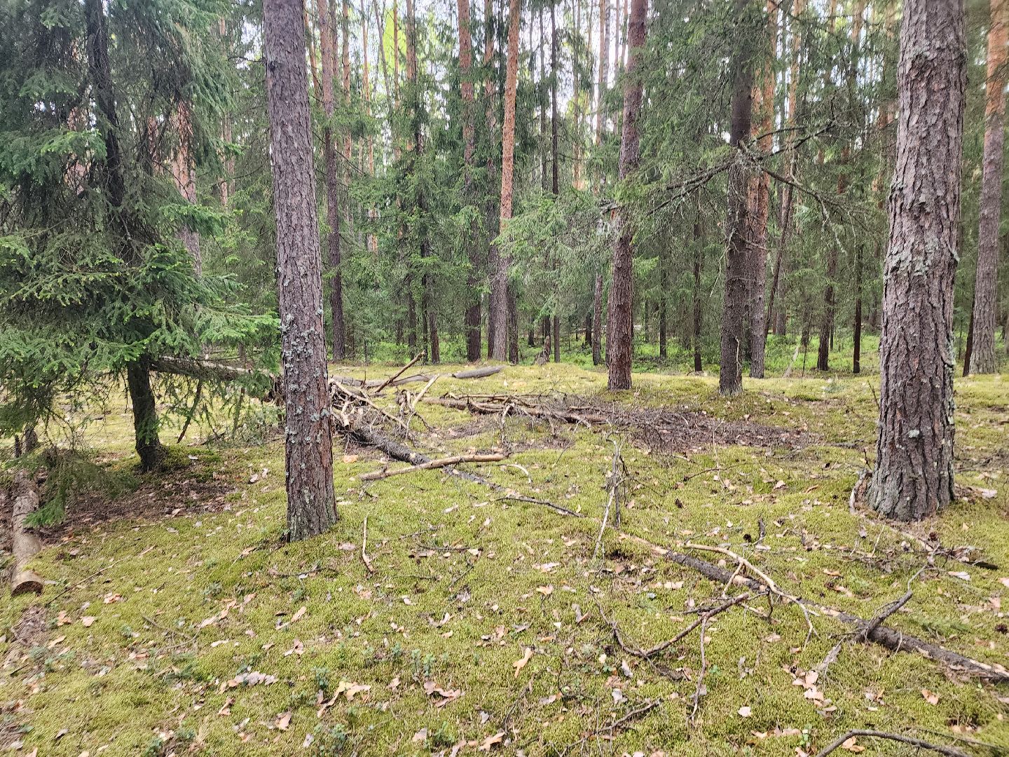 природа шатуры, шатурский край, шатурский округ, туристические маршруты,