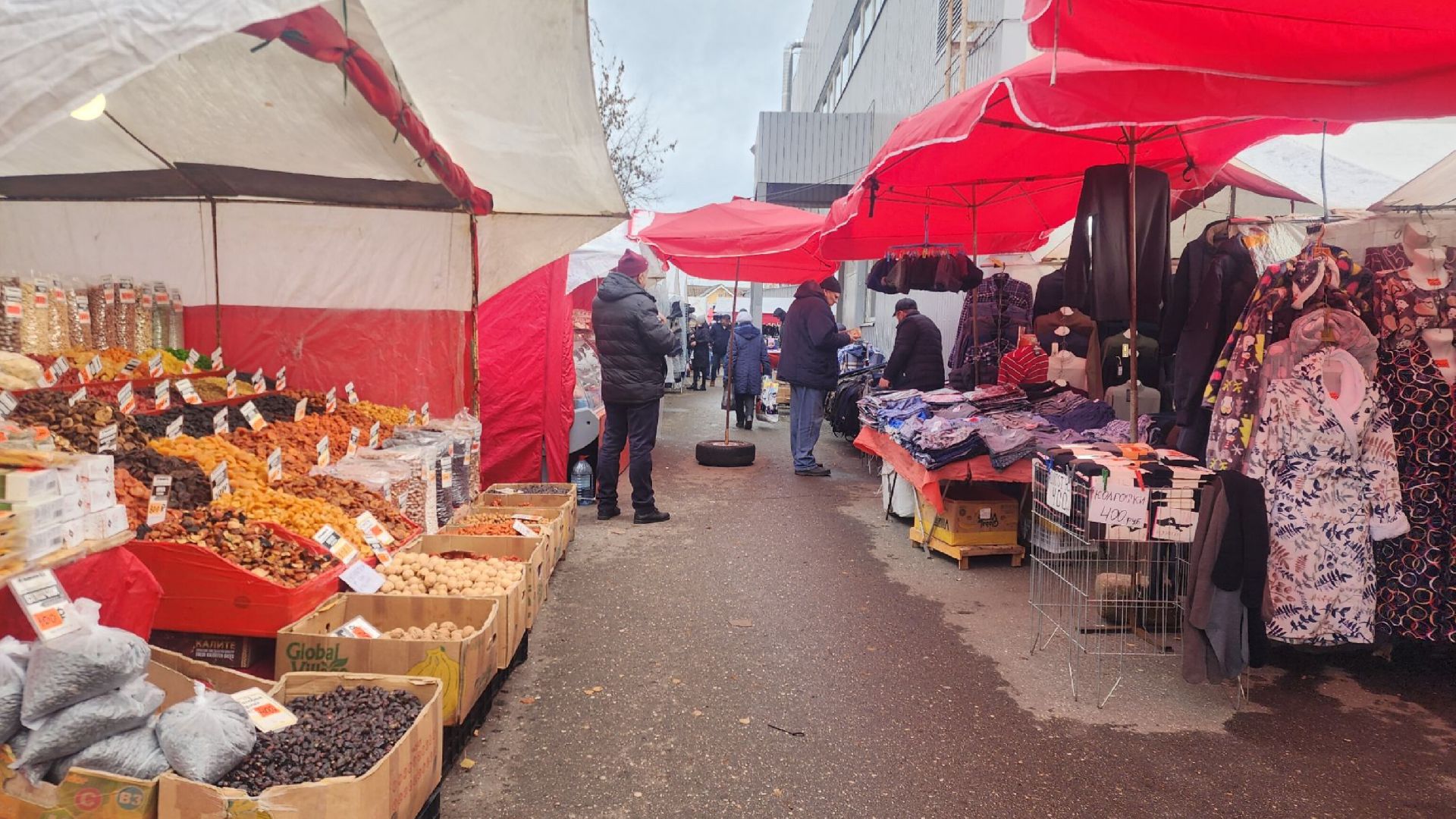 Общество , Здоровье, Всемирный день пчел,