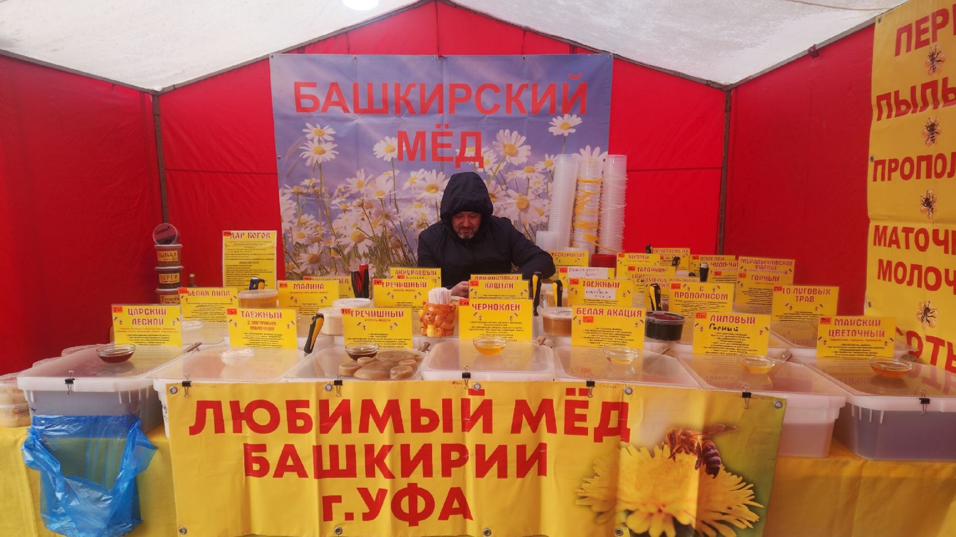 Общество , Здоровье, Всемирный день пчел,