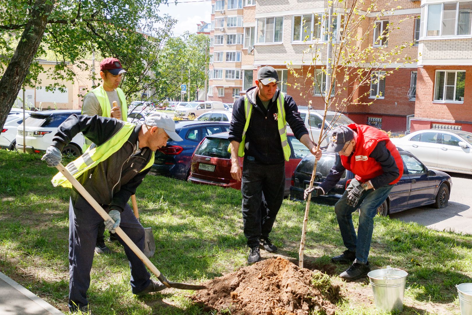 лыткарино,  благоуйстройство, сад памяти, 80 - летие победы,