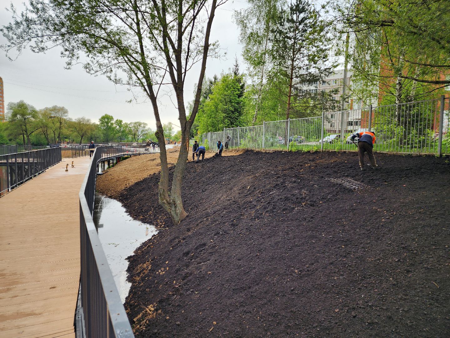 чехов, улица береговая, набережная реки теребенка, благоустройство, реконструкция, строительство, пешеходные зоны, дорожки на сваях, металлические каркасы, деревянные настилы, укладка настилов, ограждения, сварочные работы, госпрограмма московской области,