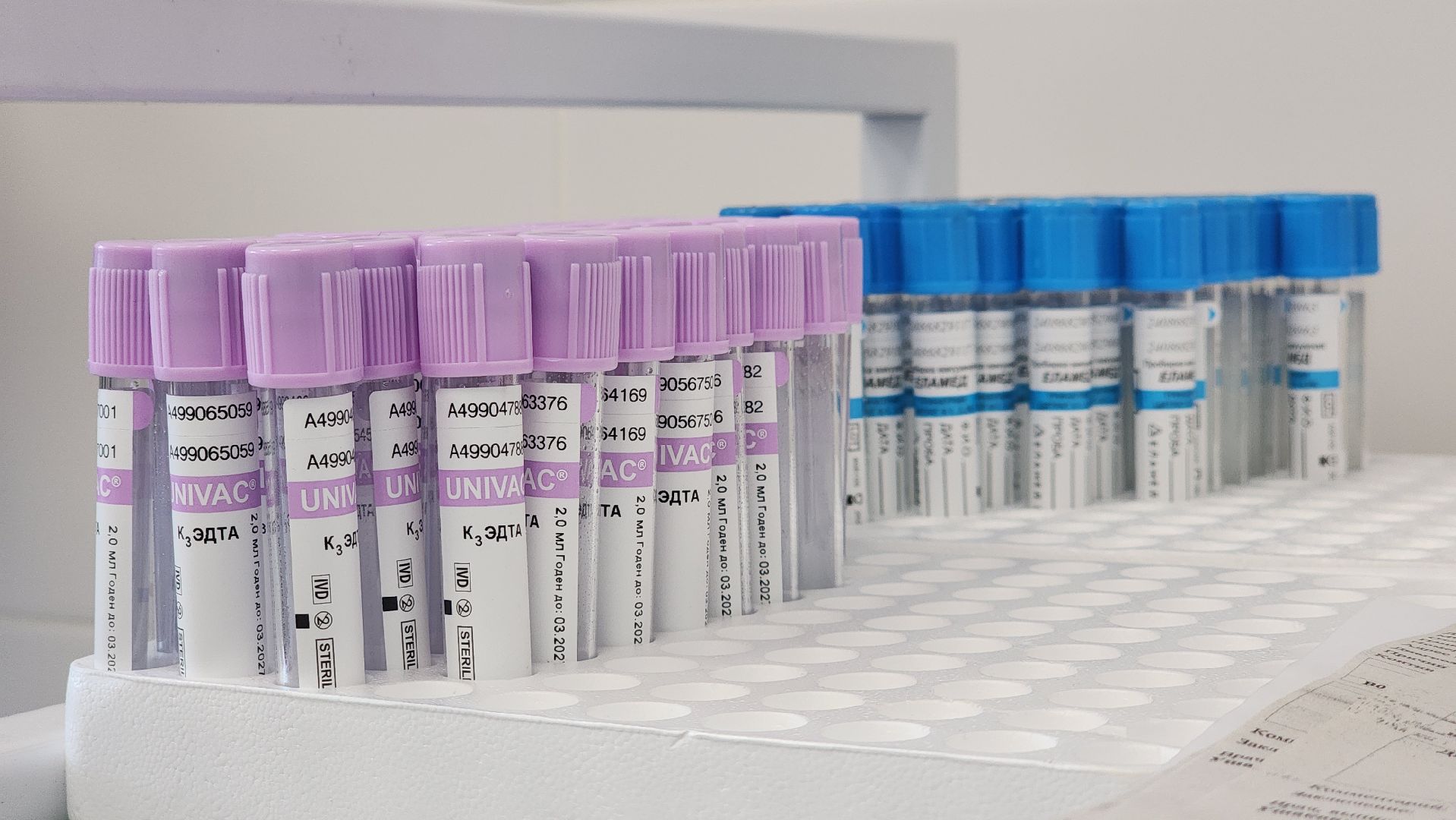 медицина, диспансеризация, семьи участников сво, лосино-петровский,