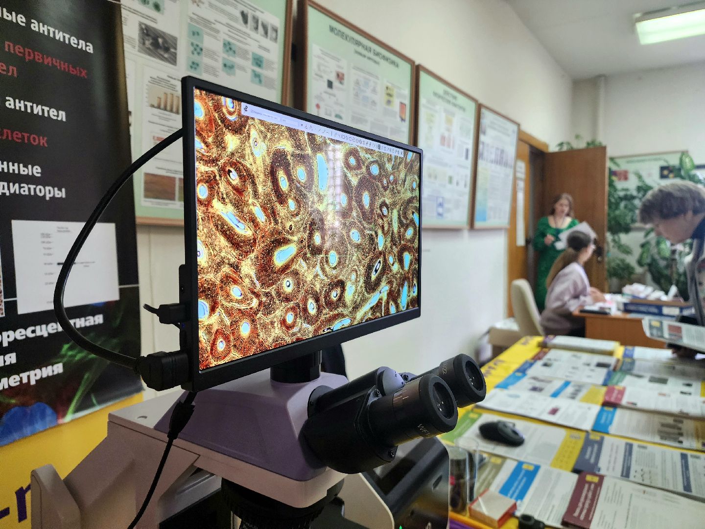 пущино, серпухов, наука,