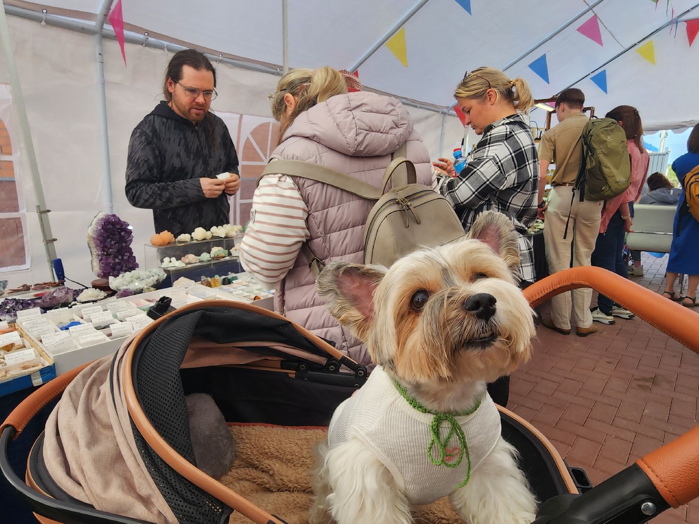 Музей, Истра,  История мироздания, Динозавры, Ярмарка, Мастер-класс,