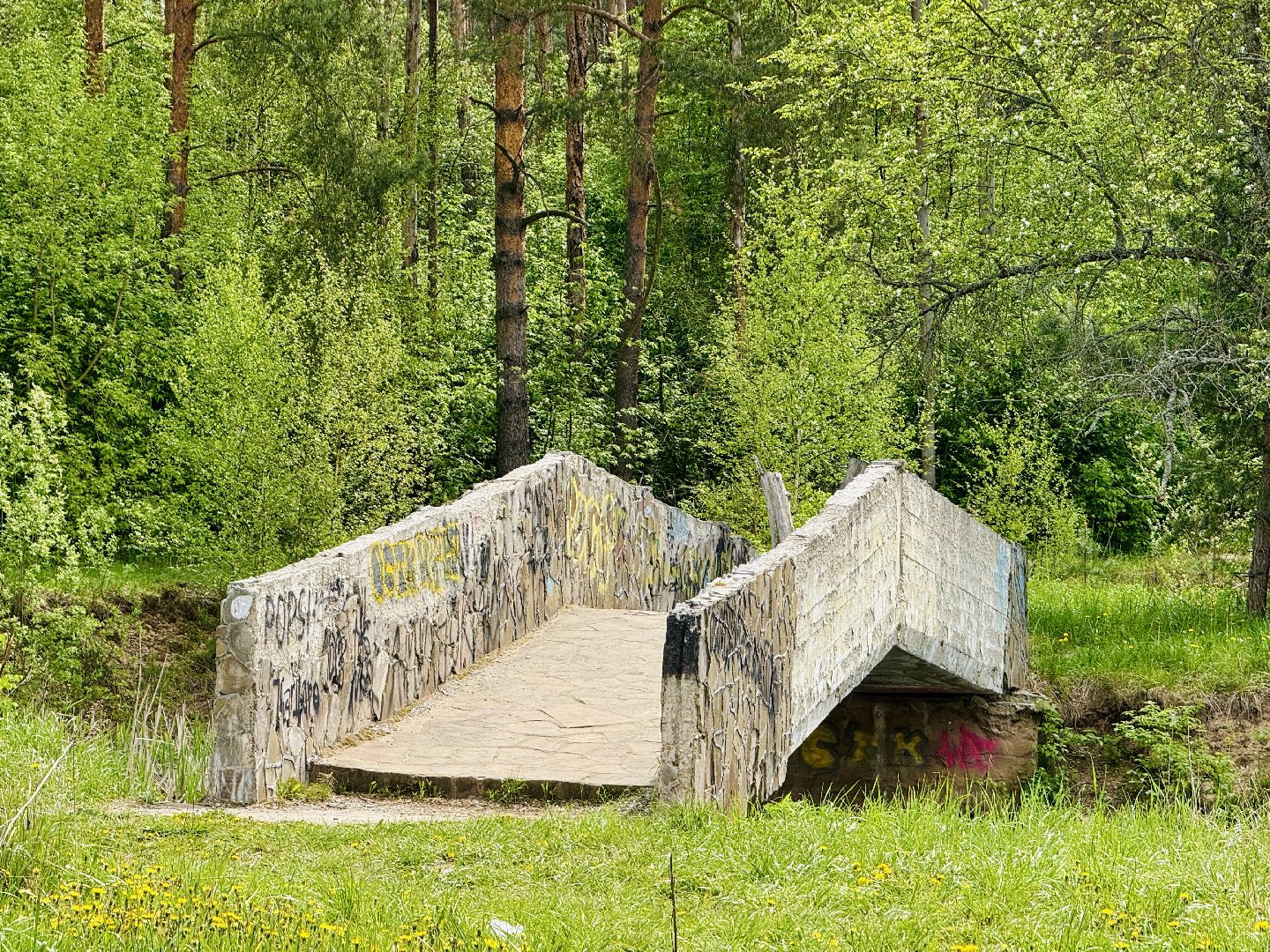 раменское, походы, Туризм, дети и родители,