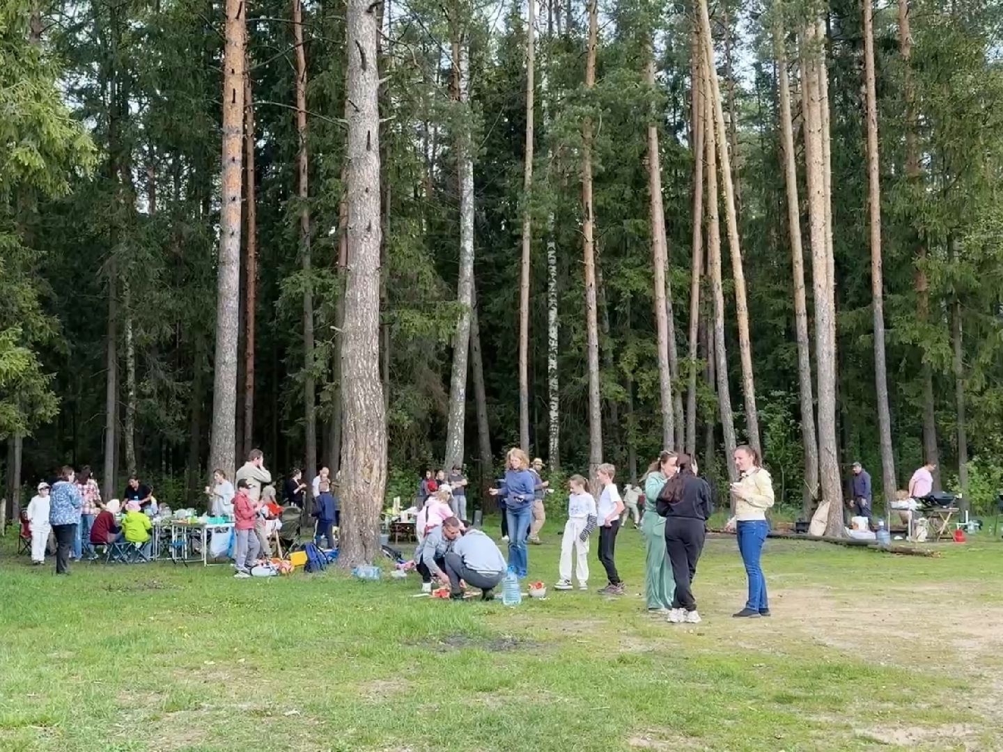 раменское, походы, Туризм, дети и родители,