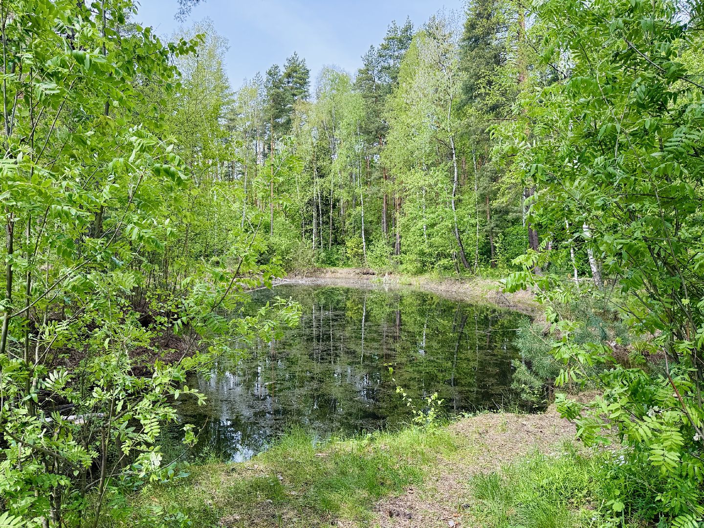 раменское, походы, Туризм, дети и родители,