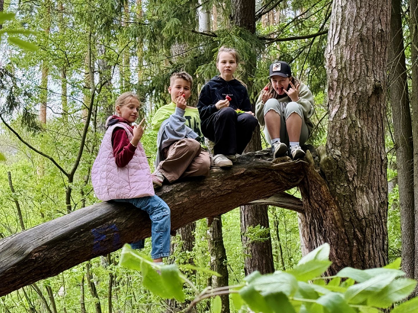 раменское, походы, Туризм, дети и родители,