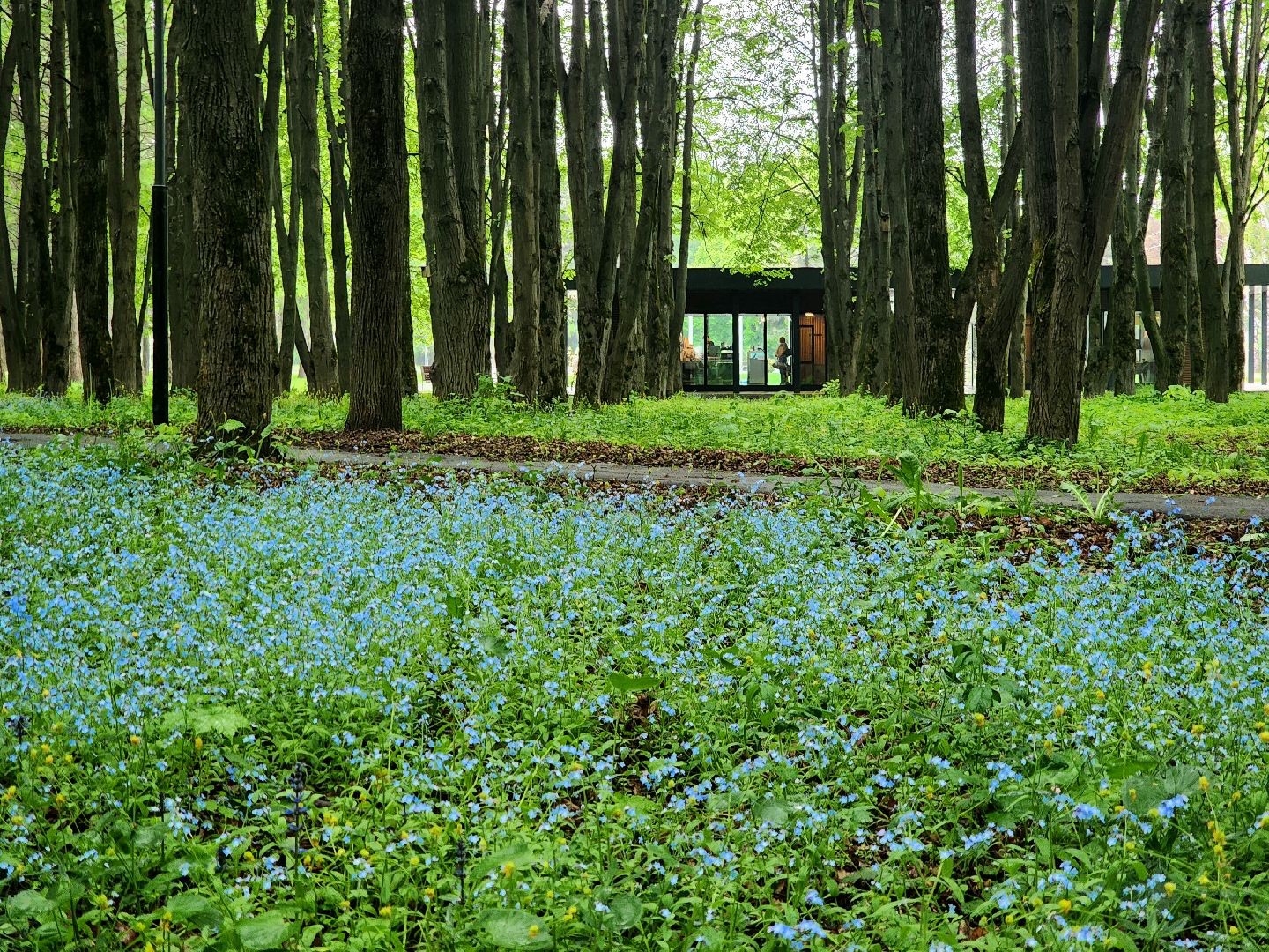 пущино, серпухов, экология, парки,