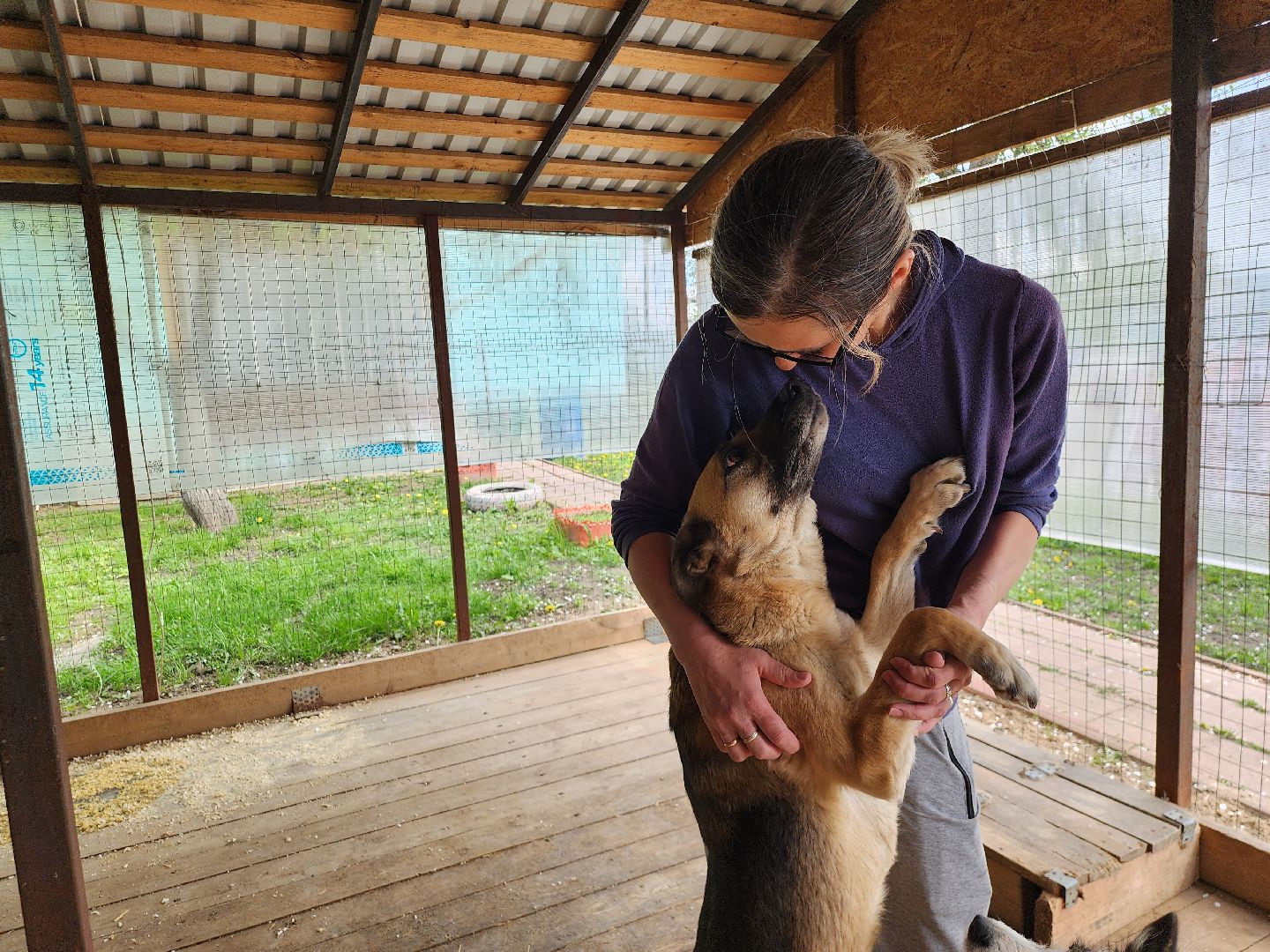 волонтер, Истра, щенки, котята, животные, спасение животных,