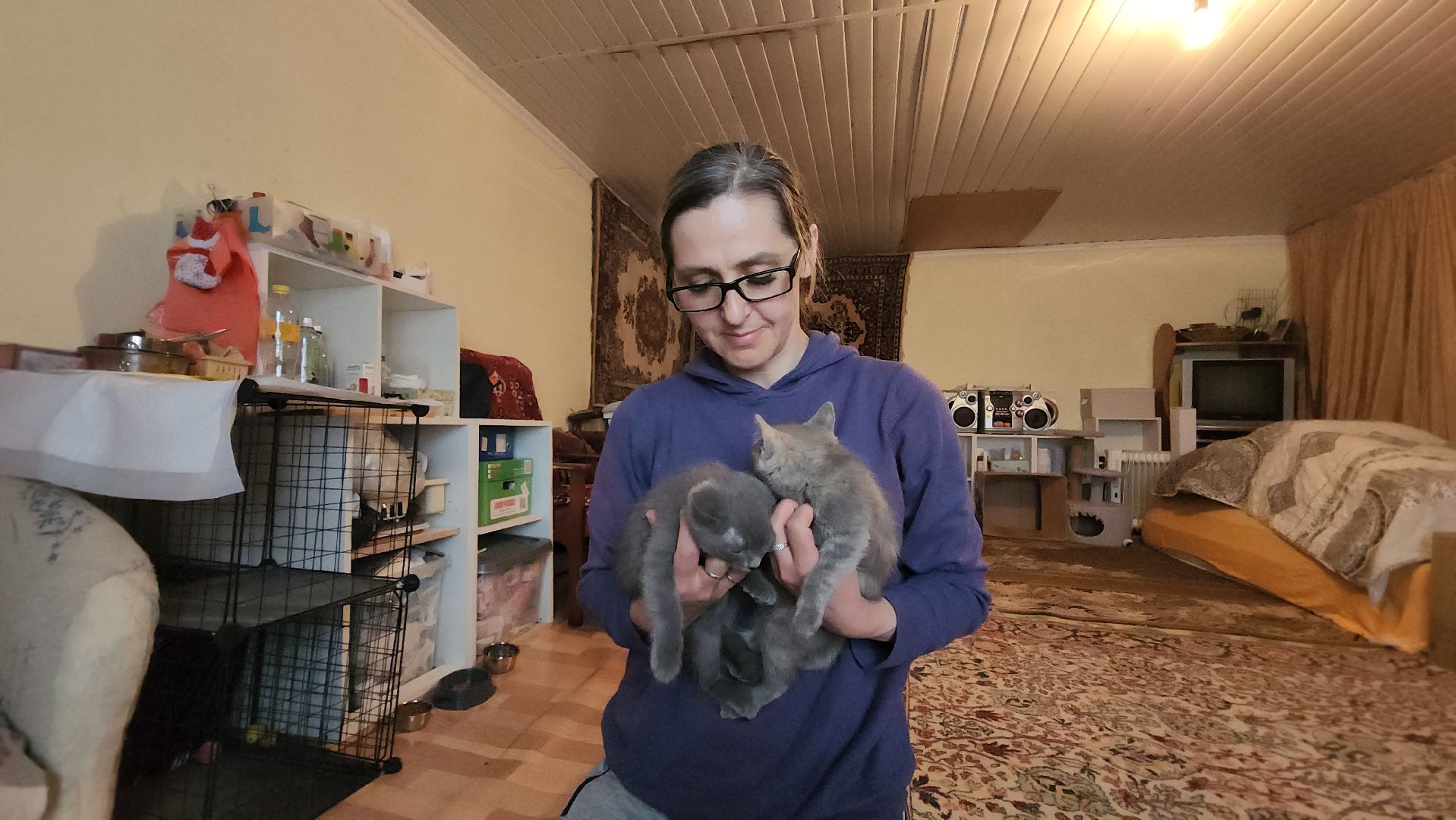 волонтер, Истра, щенки, котята, животные, спасение животных,