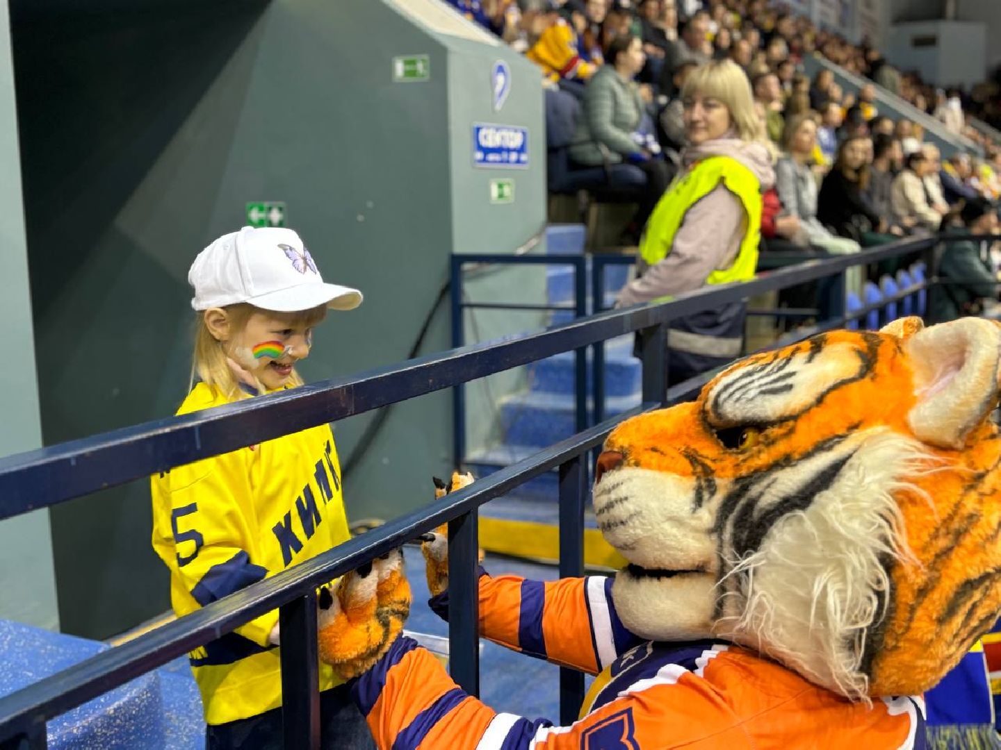 воскресенск, спорт, хоккей, вхл, кубок чемпиона россии,