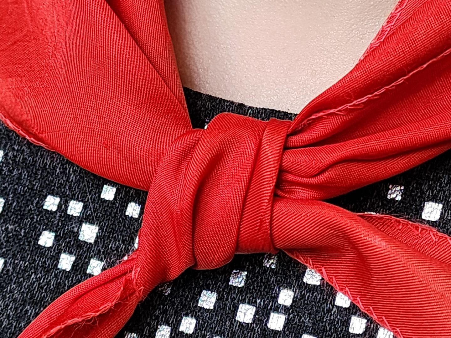 сергиев посад, музей частных коллекций, день пионерии, пионеры,